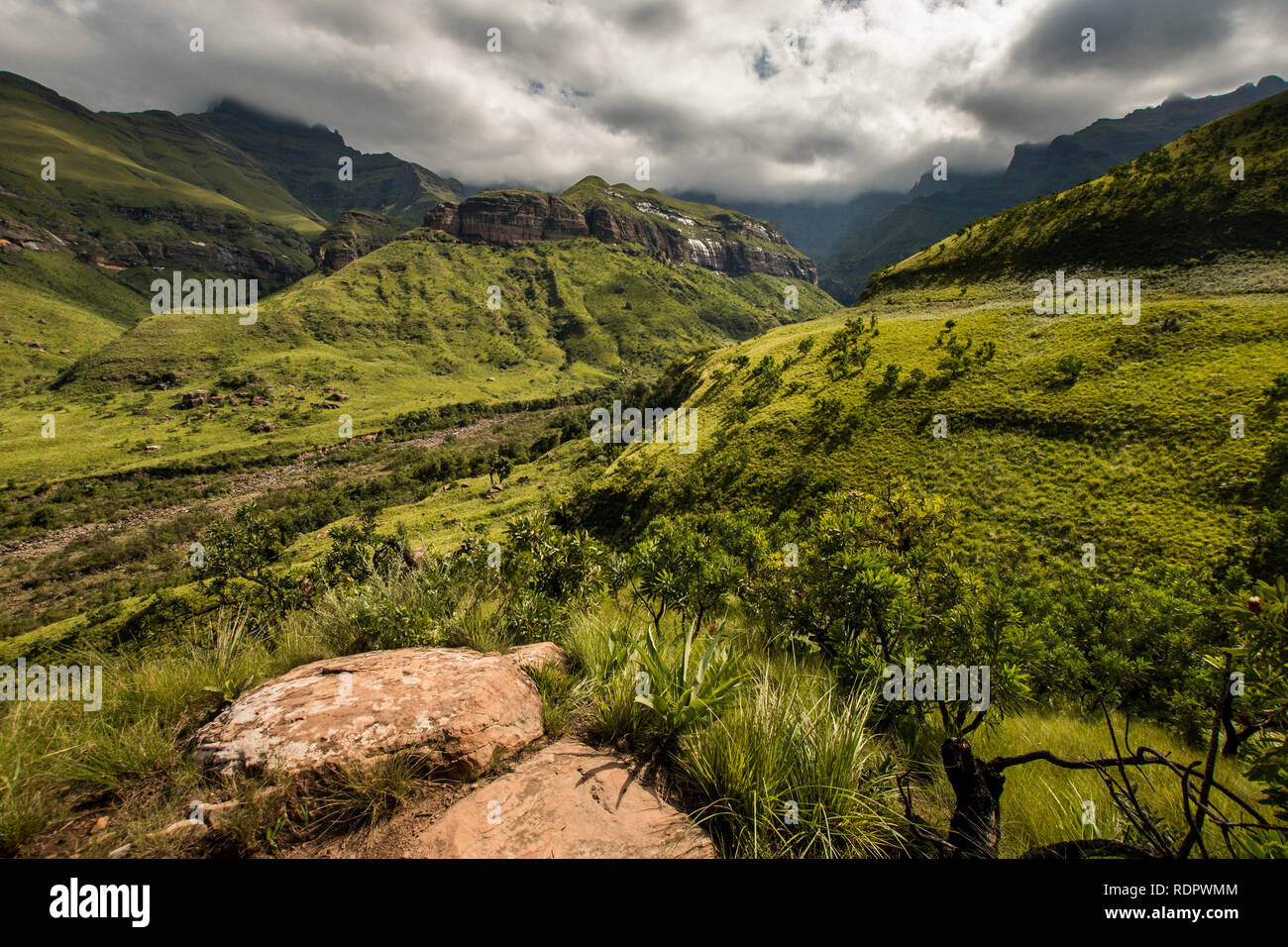 Sweeping mountain sides and cliff faces on the Thukela hike to the bottom of the Amphitheatre's Tugela Falls in the Royal Natal National Park, Drakens Stock Photo