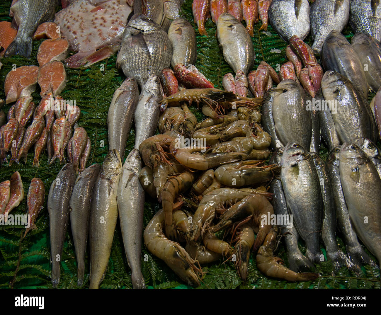 Sale of fish at a market or bazaar in Istanbul beautifully presented