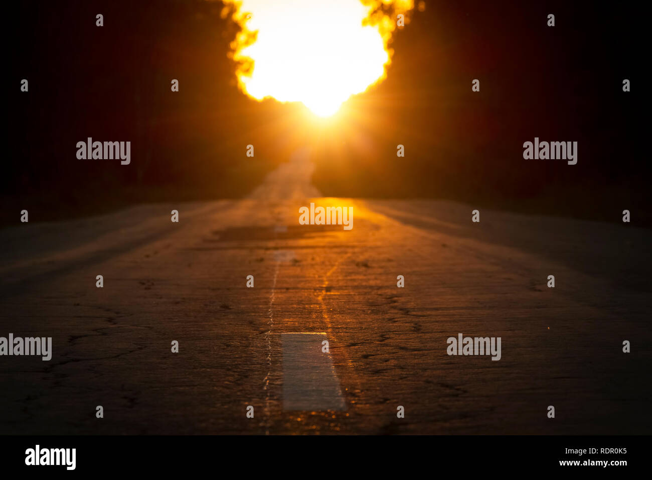 Rural road goes into the distance to the sun Stock Photo - Alamy