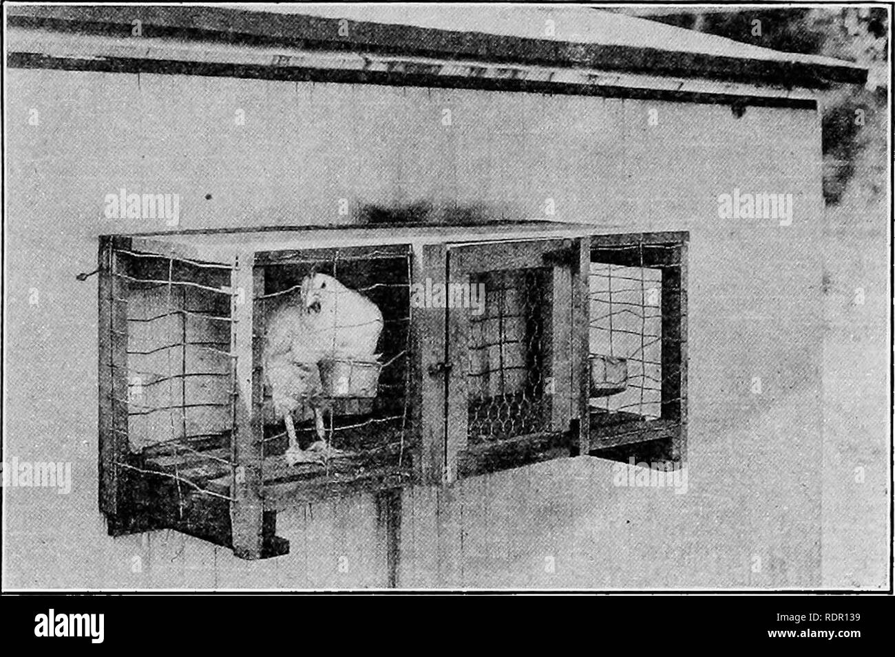 . Practical poultry production . Poultry. POULTRY HOUSES AND APPLIANCES