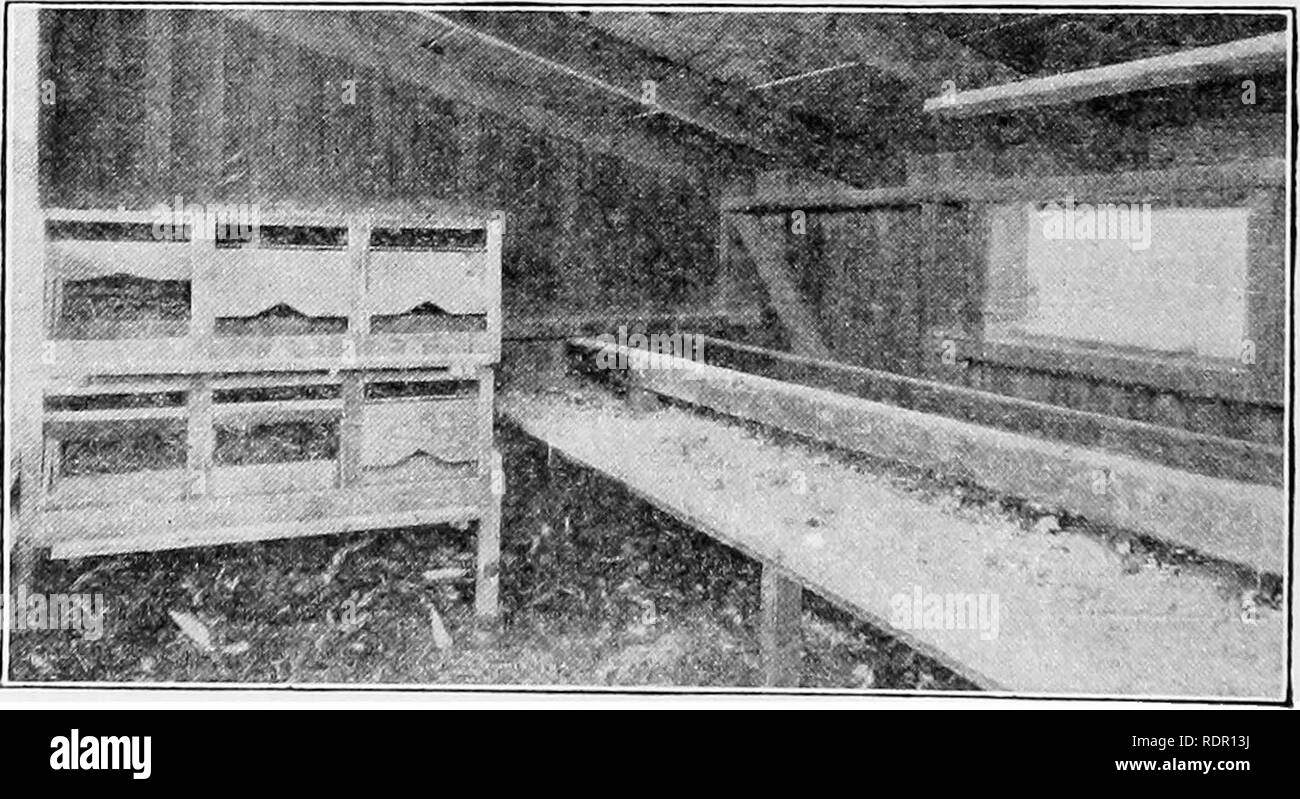 . Practical poultry production . Poultry. Figure 147.—A good interior