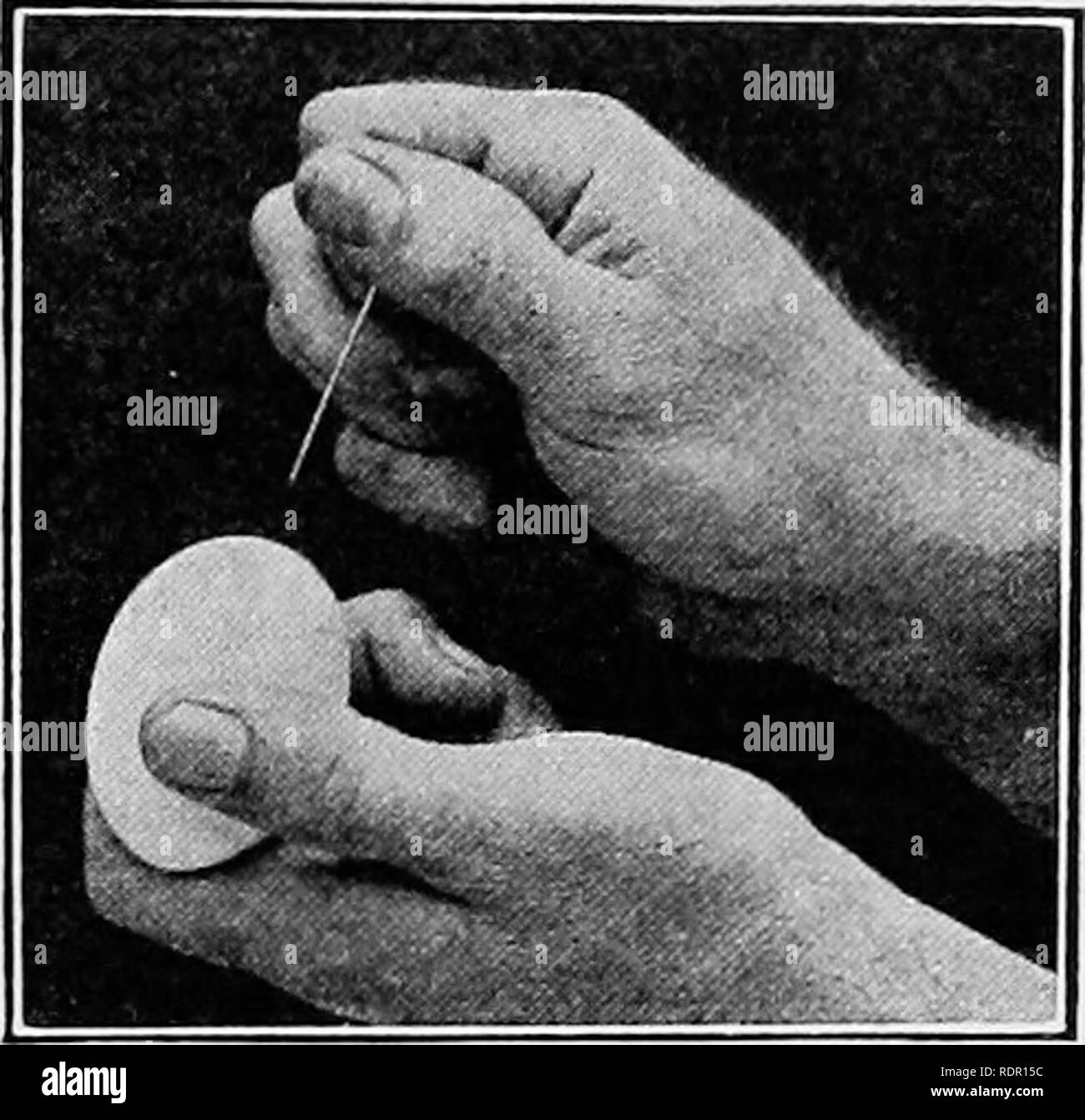. Practical poultry production . Poultry. PRESERVED EGGS 125. Figure 120.—Punching a hole in the egg with a pin before boiling. Selling preserved eggs. Or- dinarily the methods of preserv- ing eggs as described herein are intended primarily for home use and should not be construed as a method that can take the place of keeping eggs in cold storage. Should it so happen that it is desired to sell pre- served eggs, it should be thor- oughly understood by the party purchasing them that they are preserved, no attempt being made to represent them as fresh eggs. In several states it is against the la Stock Photo