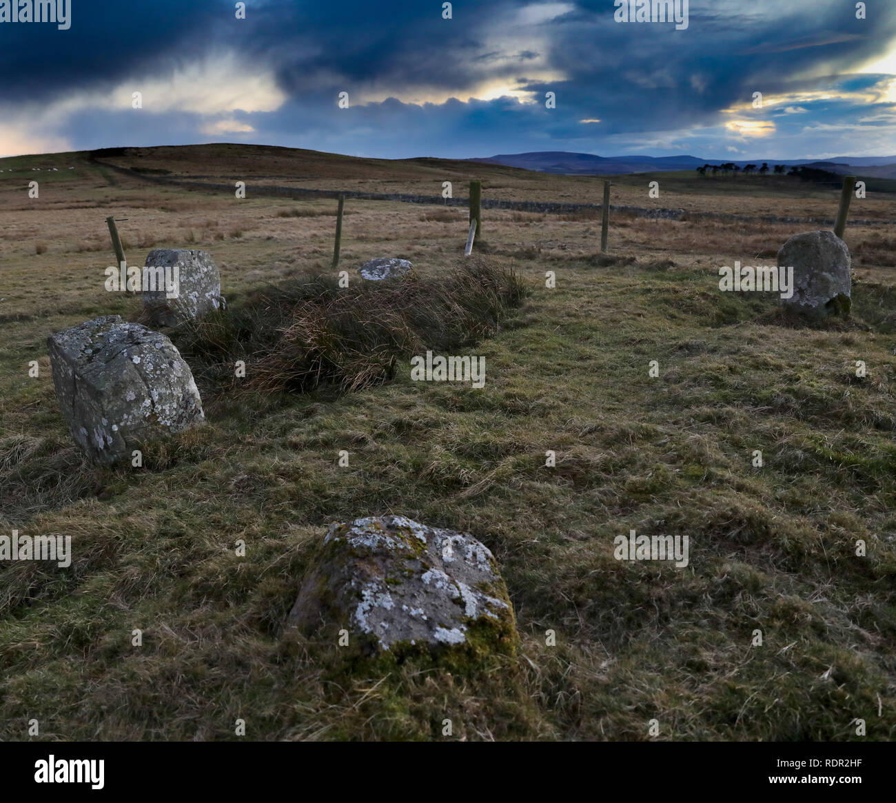A well preserved part of Dere Street, Roman road passes by a small stone circle just north of Pennymuir Roman Camps just north of the Scottish Border Stock Photo