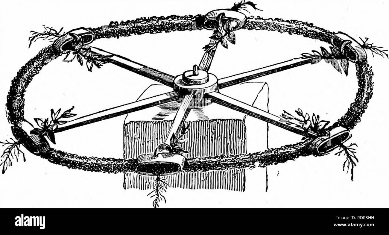 . Cassell's popular gardening. Gardening. Fig. 13.—Knight's Wheel, showing the effect of growing Seeds on the surface o( a vertically rotating &quot;Wheel.. Fig. 14. Effect of growing Plants on a horizontally rotating Wheel. ground, it would be liable to be doubled up in a contorted mass.&quot; Above the apex, the radicle is also sensitive, but in this case the effect is to cause the radicle to bend, not away from, but towards the obstacle, so that it curls round it and gets on the other side of it. In endeavouring to give an idea of what goes on in the tip of the root, and of the way in which Stock Photo