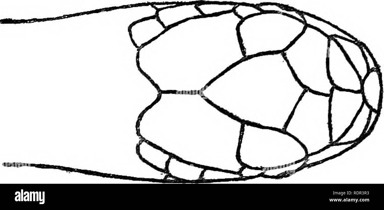63 Collection Among Us Venom Coloring Pages  Best HD