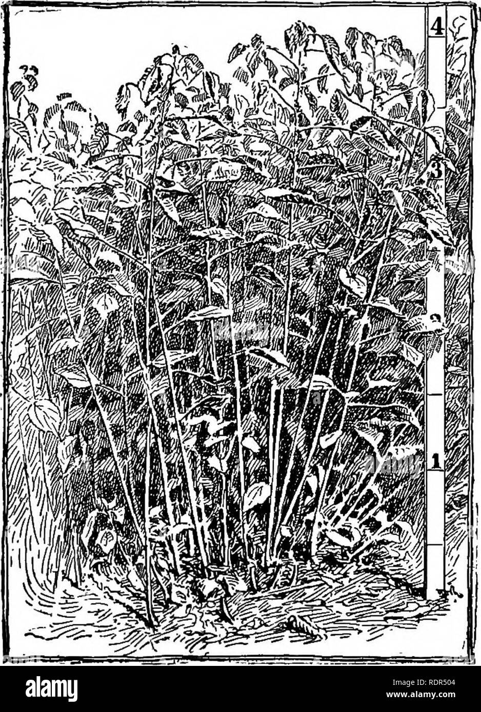 Alluvial soils Black and White Stock Photos & Images Alamy