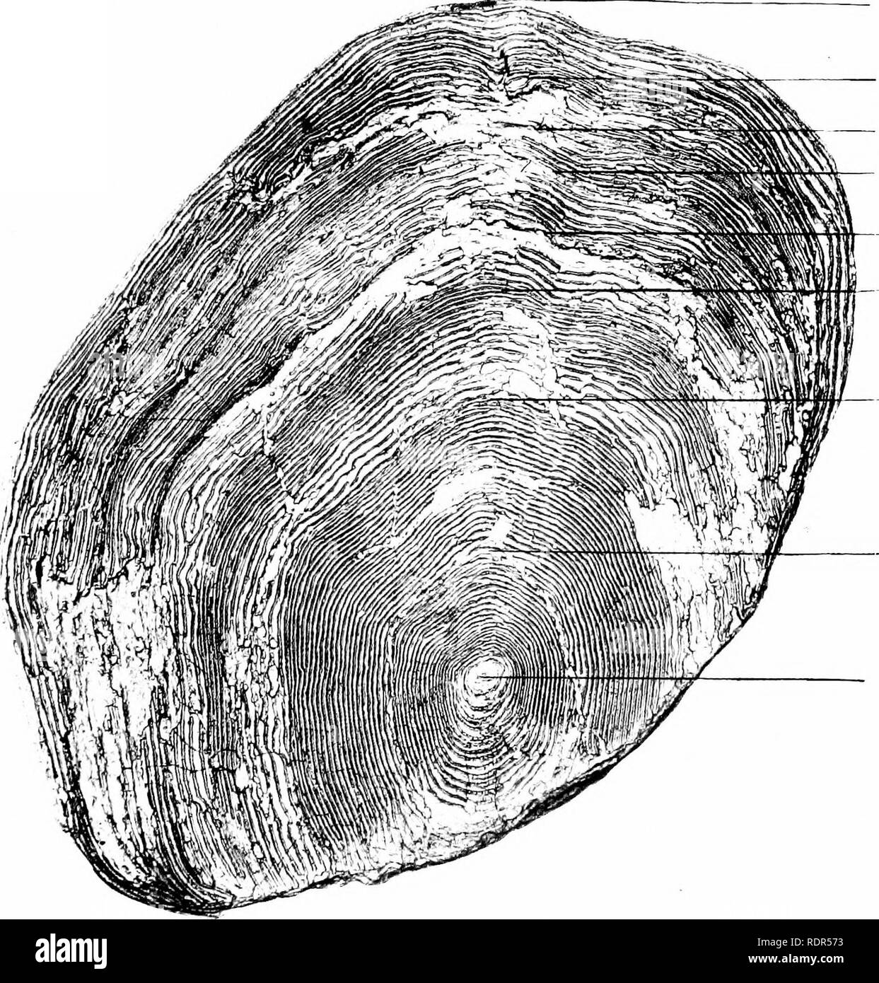 Age 28 years male hires stock photography and images Alamy