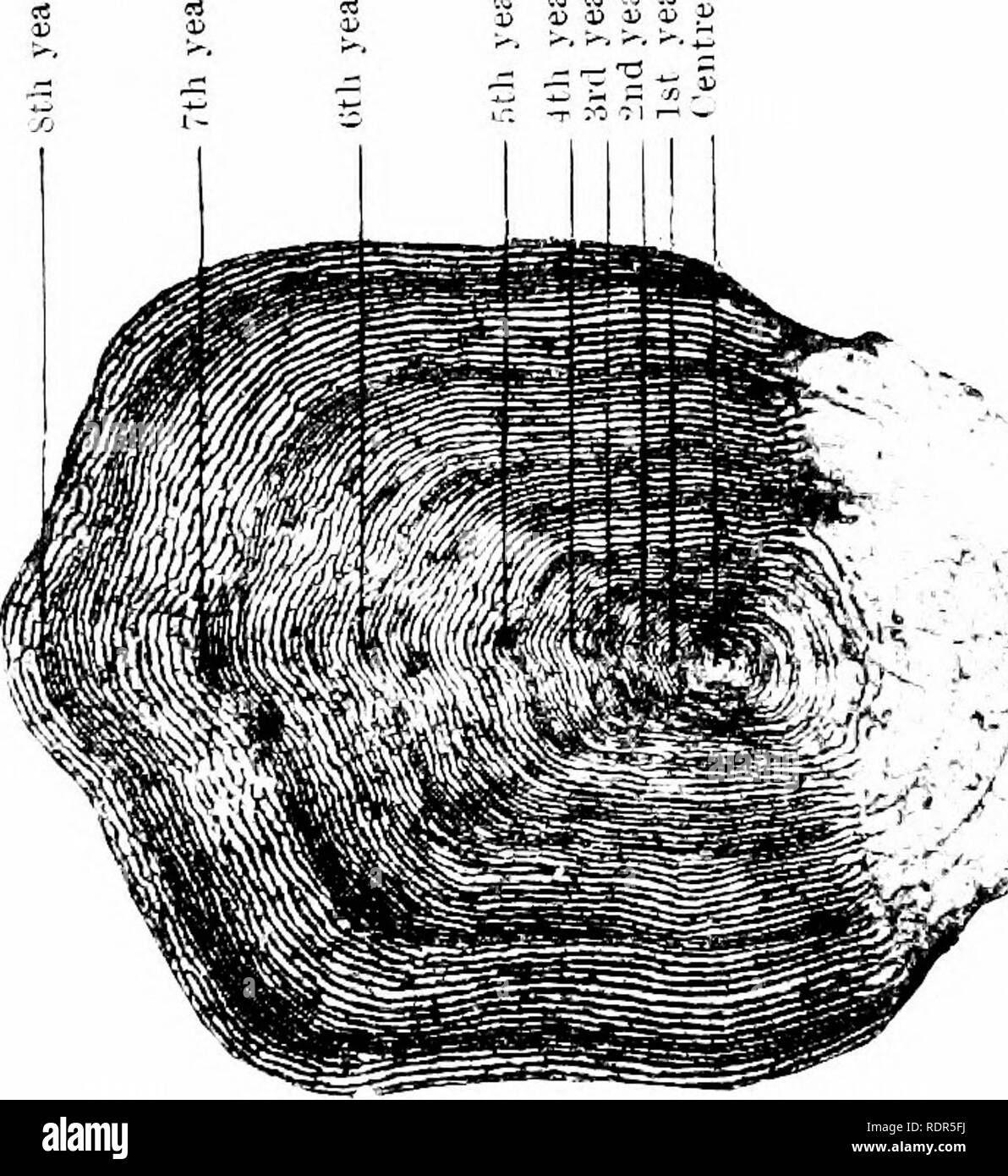 The Sea Trout A Study In Natural History Salmonidae Fish Culture Fishing Quot Quot I I P Bjd C O O O O Jj M A S Hj 1 0