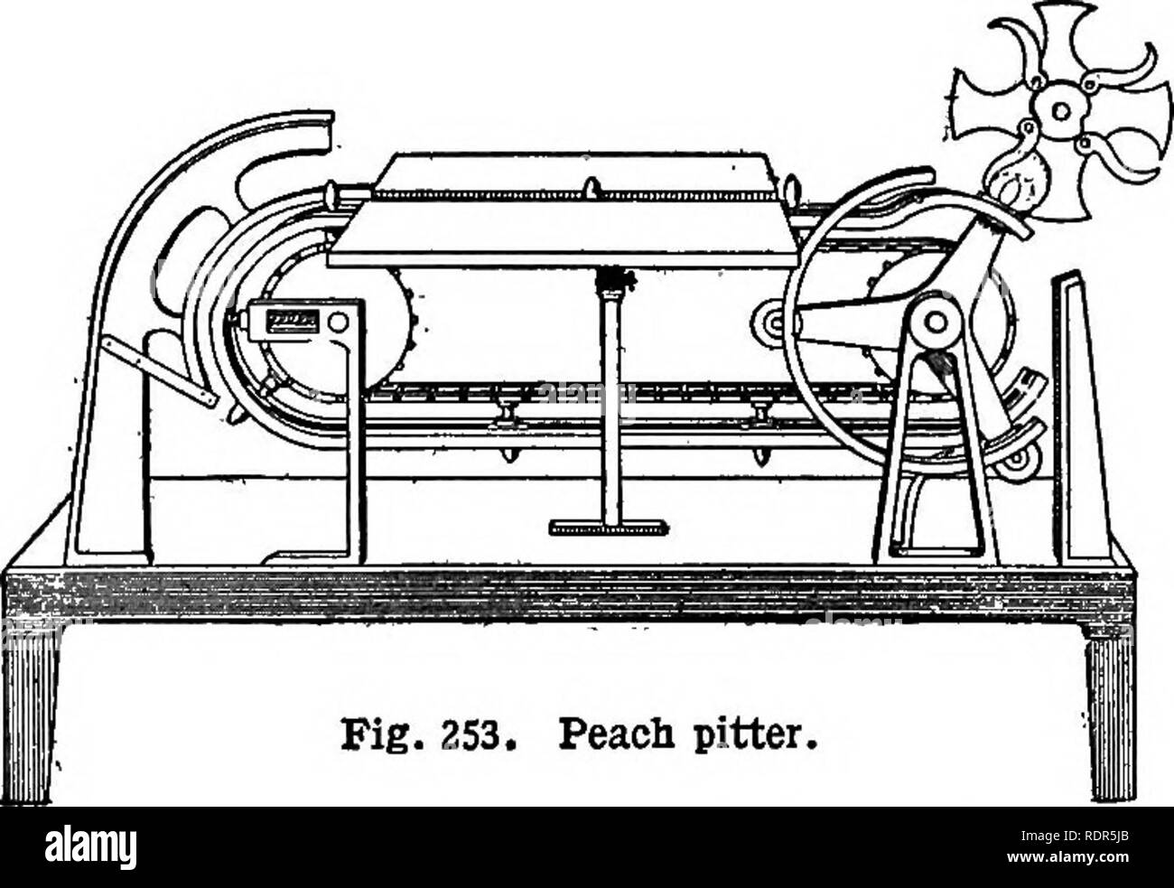 . Cyclopedia of farm crops, a popular survey of crops and crop-making methods in the United States and Canada;. Farm produce; Agriculture. Fig. 252. Peacb peelers for canning factory. water, starch and the like, variations of fifty to seventy-five minutes being found in different fac- tories. Sweet corn undergoes fermentative changes even more rapidly than do peas, because of its high percentage of sugar, and especially from the fact that the kernels are broken, thus allowing direct access of bacteria to the saccharine juices. Unless means were taken to prevent it, fermentation would take plac Stock Photo
