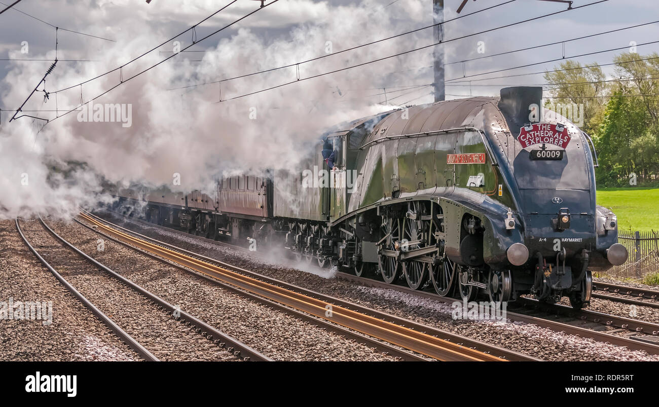 Union of Soiuth Africa A4 Pacific class steam locomotive hauls the Cathedrals Explorer rail tour on the West Coast Main Line WCML at Winwick. Stock Photo