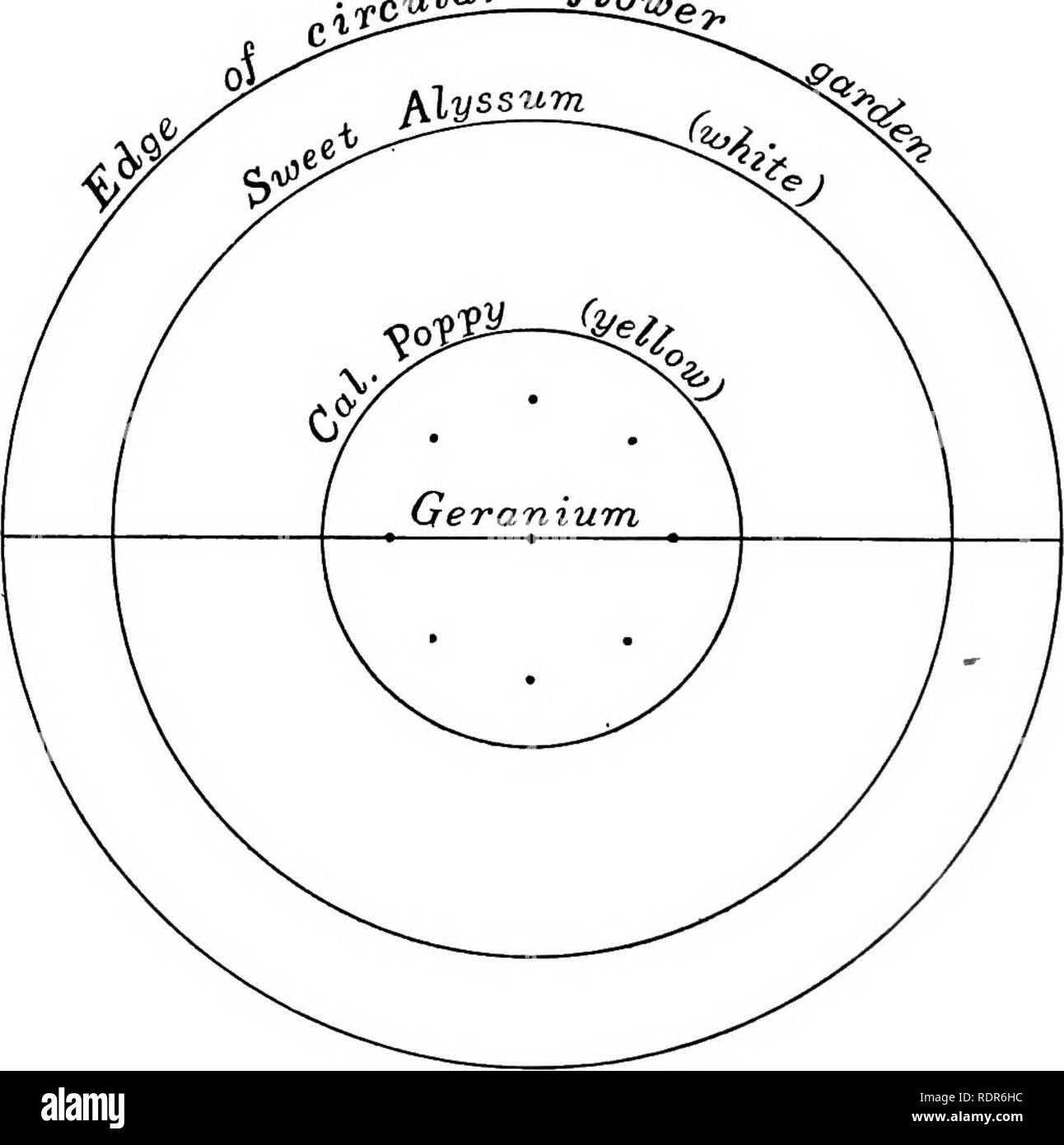 Gardens And Their Meaning By Dora Williams School Gardens 192 Gardens And Their Meaning Mr Bird S Fence Stock Phlox Itock Quot S Quot A To Lt Edge Of Garden Scale L F Plan