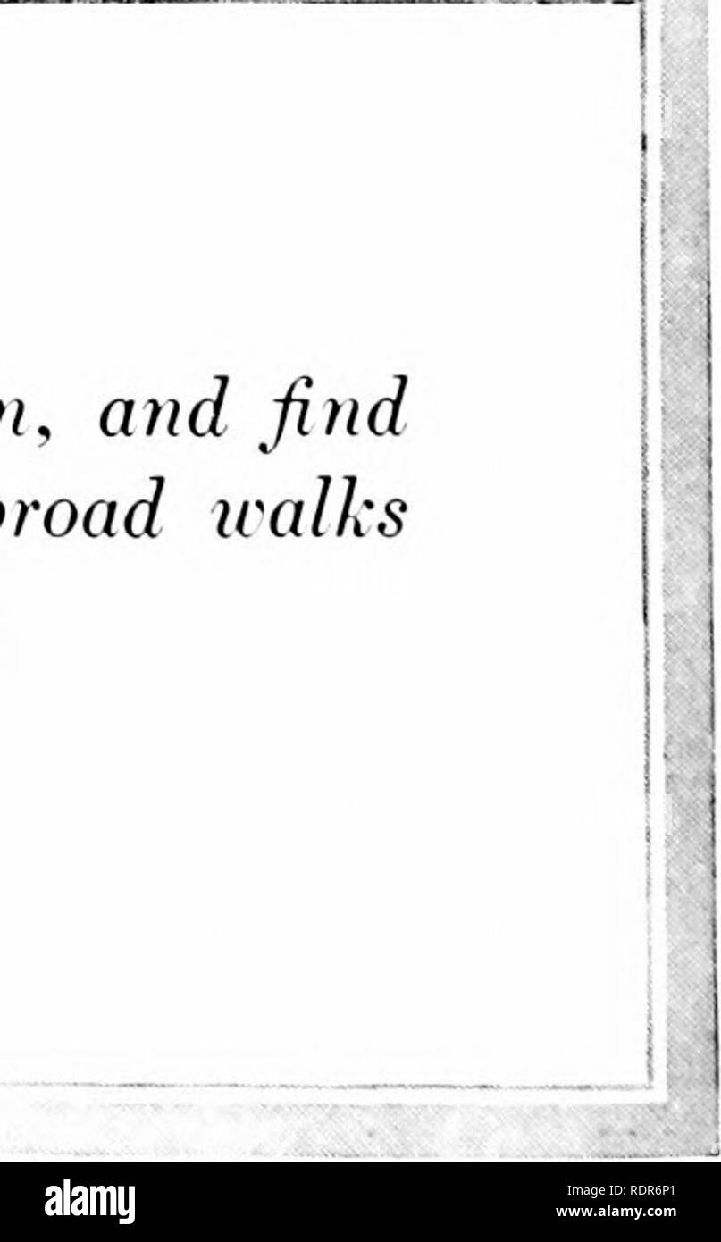 Parks Their Design Equipment And Use Parks Landscape Gardening N Jm Y P F P Q J Rtw J Gt Jr Quot Double Scats Arc Economical Of Construction And Find Suitable Location Along The Centre Line Of Broad Urdks