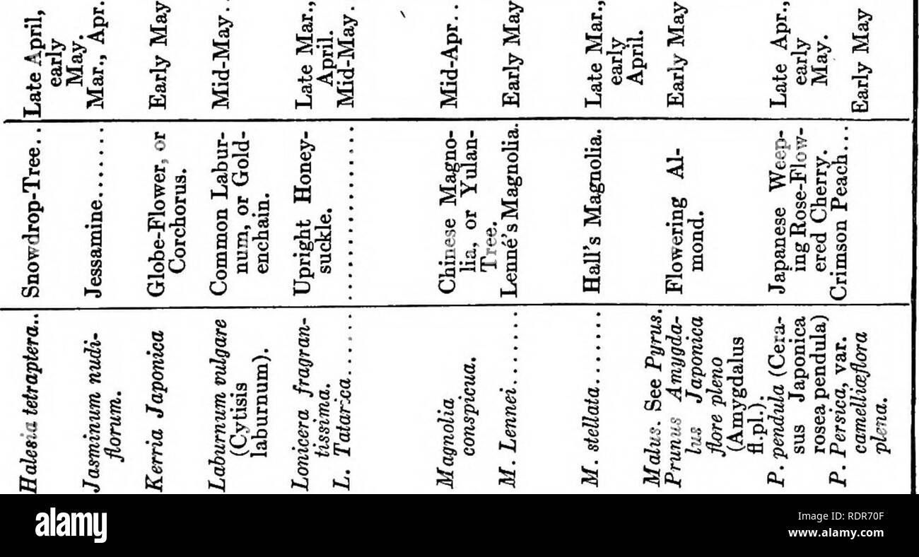 The Joyous Art Of Gardening A Book Of First Aid To The Amateur Gardening Quot Si 2 3 A Ill Tii Quot A G Ssd Quot A Gas S M A A A S S A A M