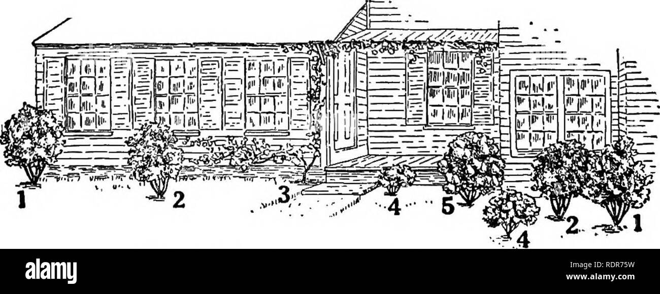 . The joyous art of gardening; a book of first aid to the amateur. Gardening. Fig. 3. Diagram of planting when approach is not balanced Suppose your house is in the suburbs, fairly near the street, a more modern type, but still with a door in the middle—^path leading up to steps at the centre of the porch. Then for the front a symmetrical arrangement is best also (Fig. 2). If troubled by people cutting across the corner of your path, plant a bush of Berberis Thunhergii or Rosa rugosa (2) on each side to guard the corner, three feet in from the path. If the porch is low, not more than two feet  Stock Photo