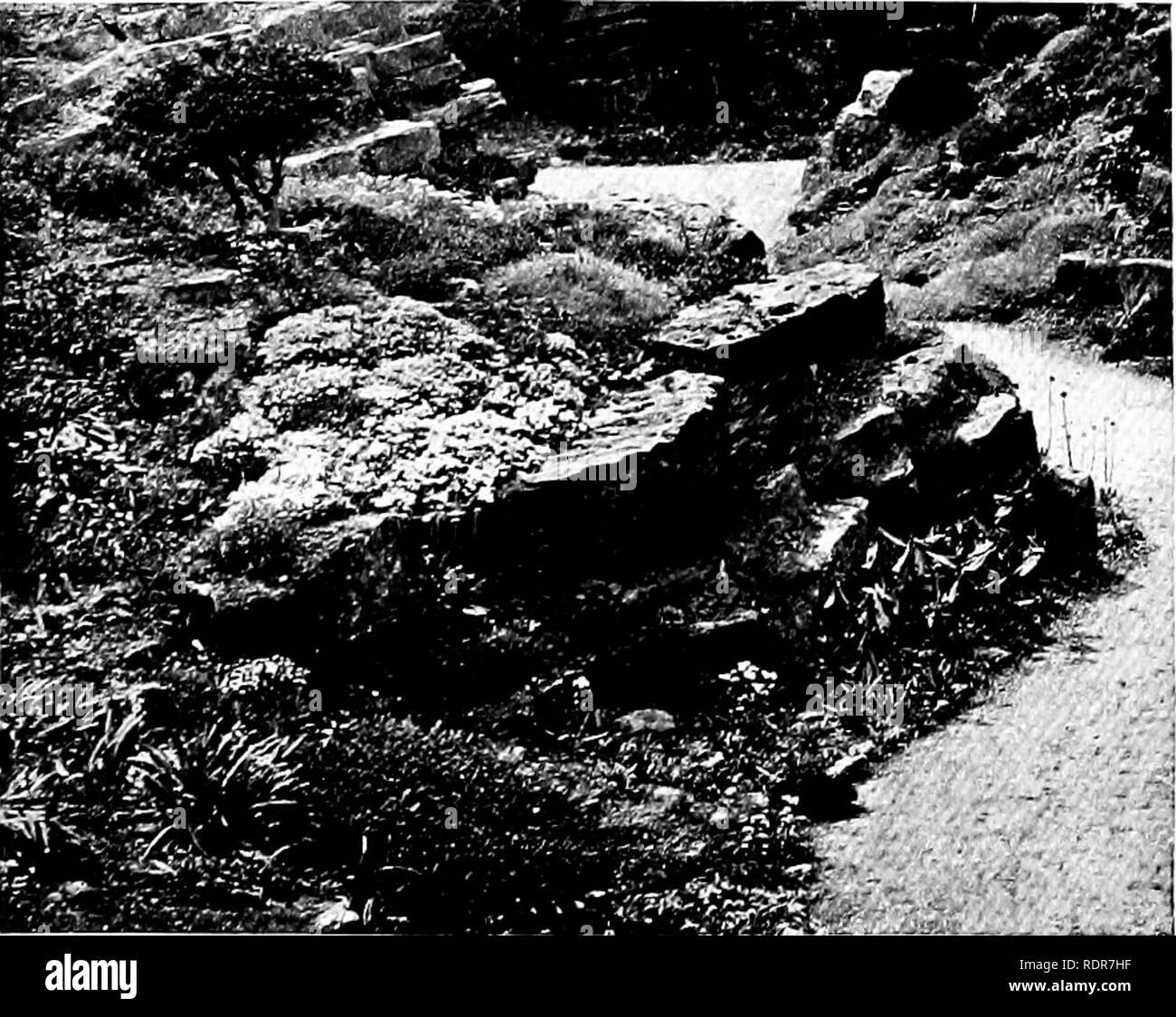 . Gardens for small country houses . Gardens, English. 240 Gardens for