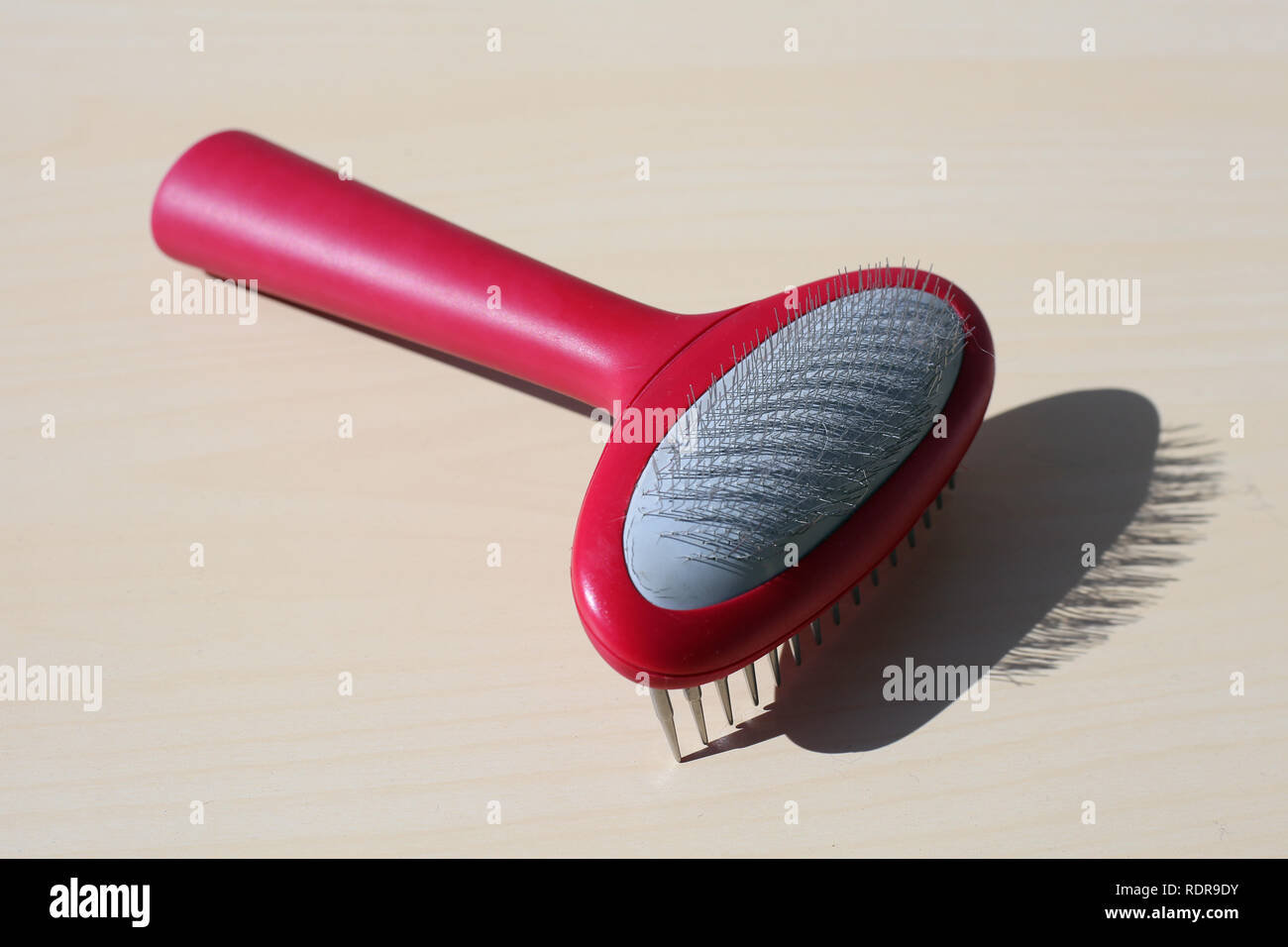 Red pet brush photographed on beige colored wooden table. Beautiful