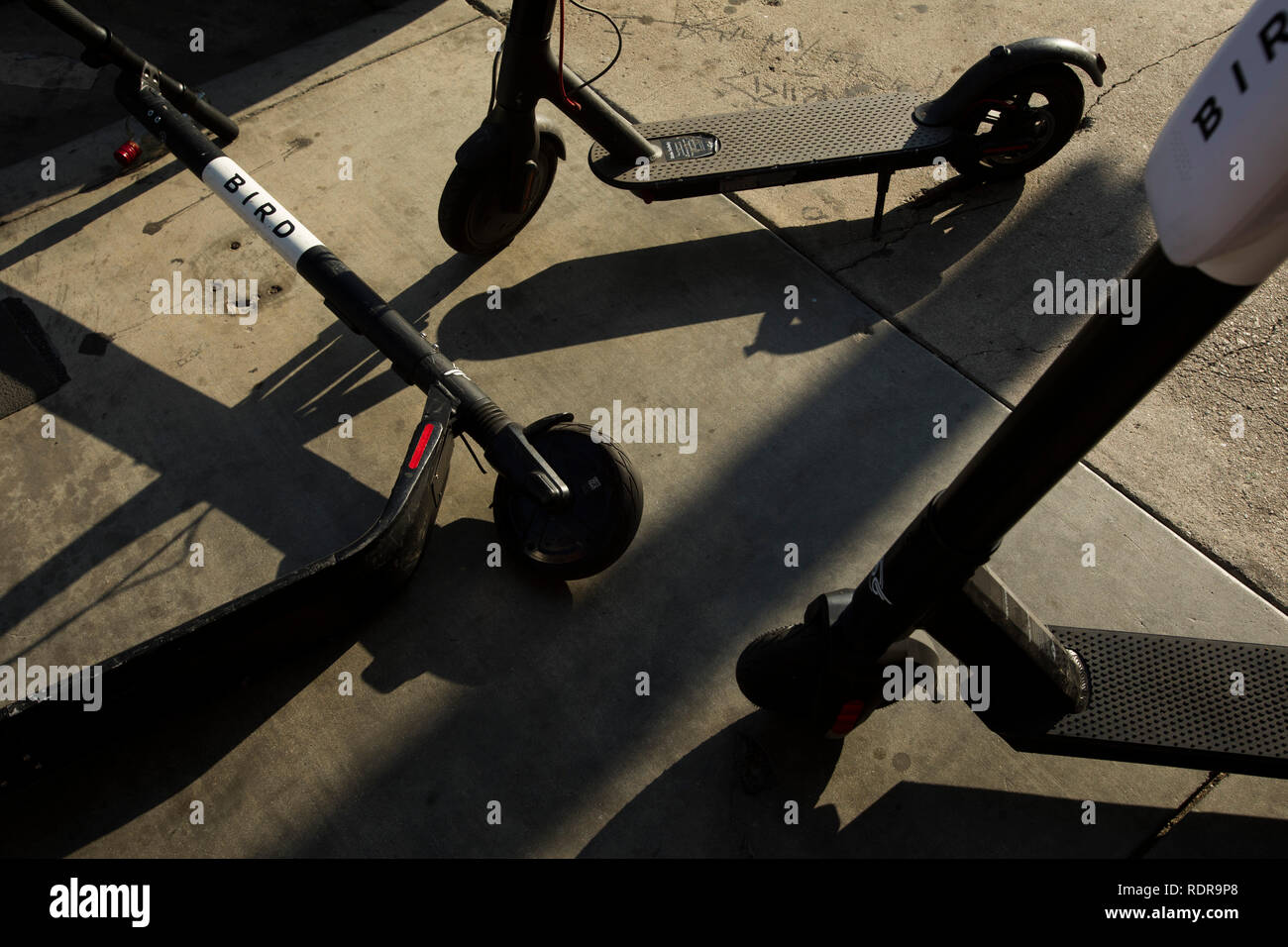 Scooters, Venice Beach, Los Angeles, California, USA Stock Photo Alamy