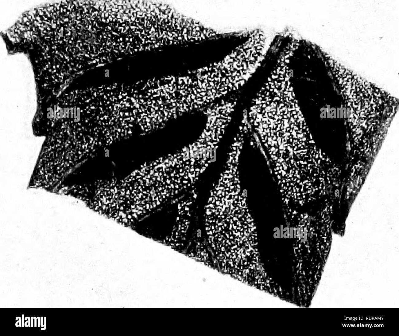 Page 56 S P Q R High Resolution Stock Photography And Images Alamy