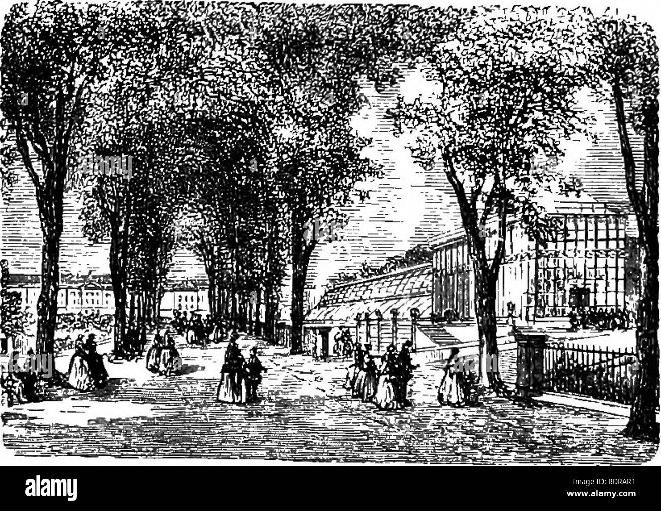 . The parks, promenades, &amp; gardens of Paris, described and considered in relation to the wants of our own cities, and the public and private gardens. Gardens; Parks. 68 CHAPTER V. THE JAKDIN DES PLANTES AND THE GARDENS OF THE LUXEMBOURG. We have nothing in the British Isles like the Jardin des Plantes. It is half zoological, half botanical, and nearly surrounded by museums containing vast zoological, bo- tanical, and mineralogical collections. The portion entirely devoted to botany is laid out in the straight, regular style, while the part ^IG-26- in which are the numerous buildings for th Stock Photo