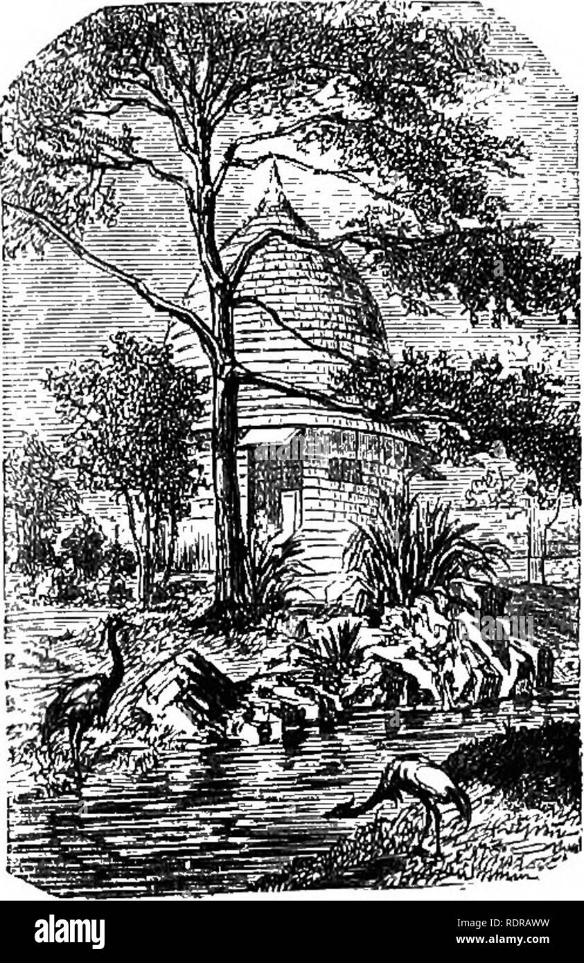 The Parks Promenades Gardens Of Paris Described And
