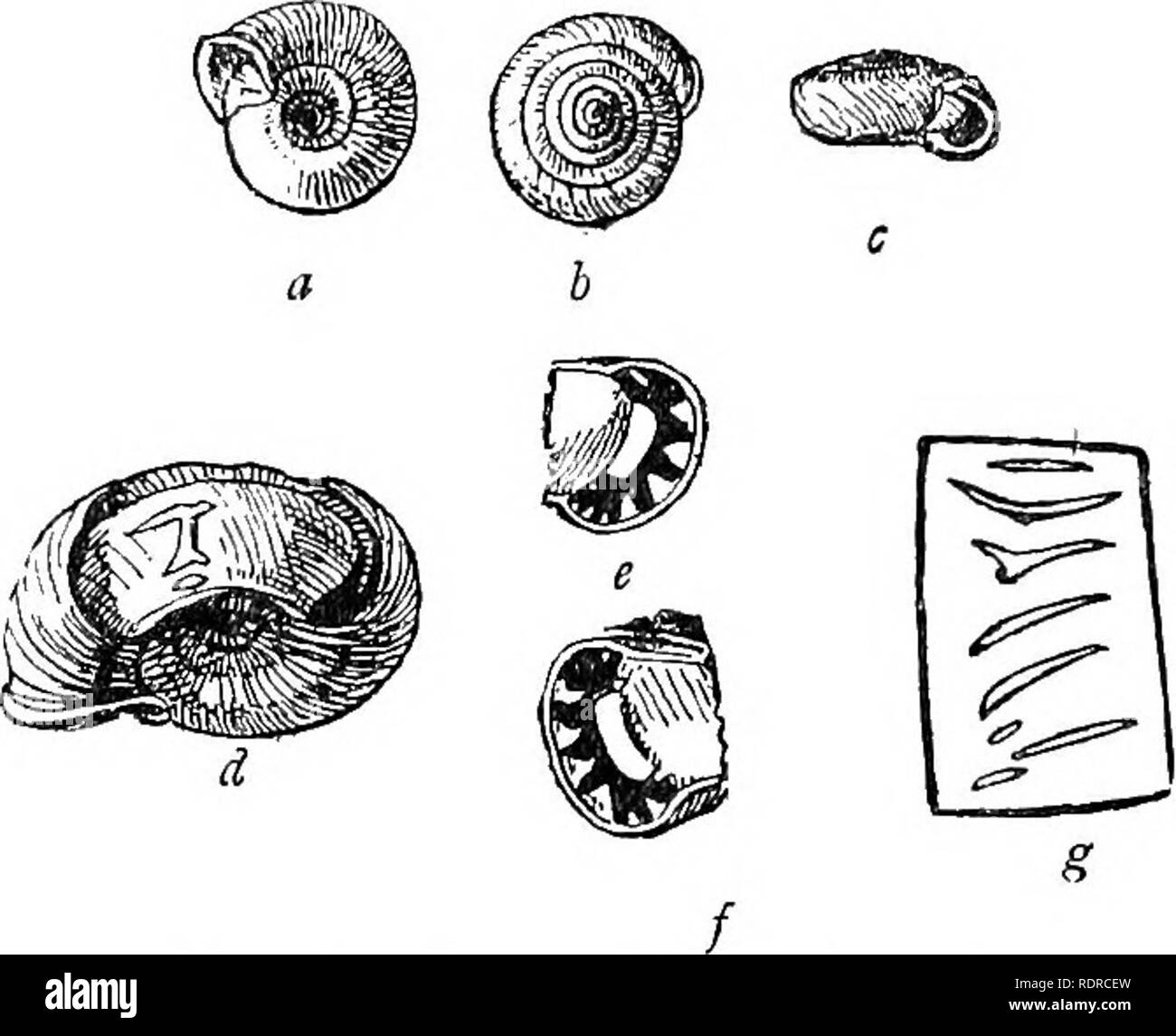 69 96 Black and White Stock Photos & Images Alamy