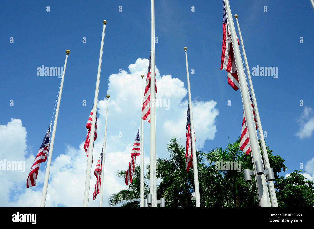 American Flags at Half Mast Stock Photo Alamy