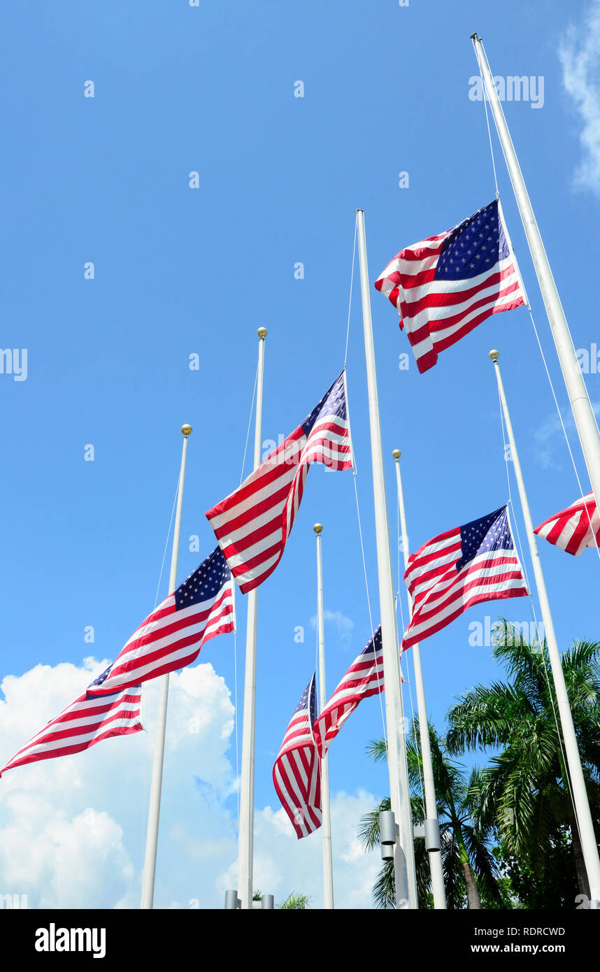 American Flags at Half Mast Stock Photo Alamy