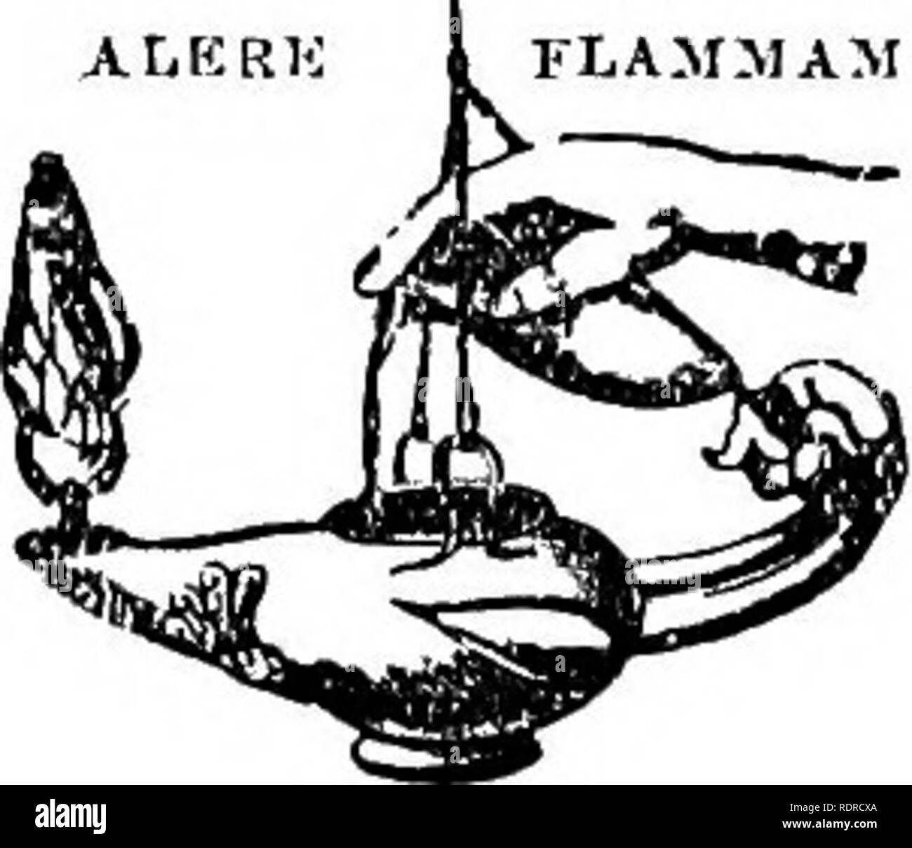 . Mollusca ... Mollusks. FLAMMAM. PEINTED BY TAYI.OE AND FRANCIS, RED LION COUIIT, FLEET STREET.. Please note that these images are extracted from scanned page images that may have been digitally enhanced for readability - coloration and appearance of these illustrations may not perfectly resemble the original work.. Blanford, William Thomas, 1832-1905; Godwin-Austen, Henry Haversham, 1834-1923; Gude, Gerard Kalshoven, 1858-; Preston, Hugh Berthon, 1871-. London, Taylor and Francis; [etc. , etc. ] Stock Photo