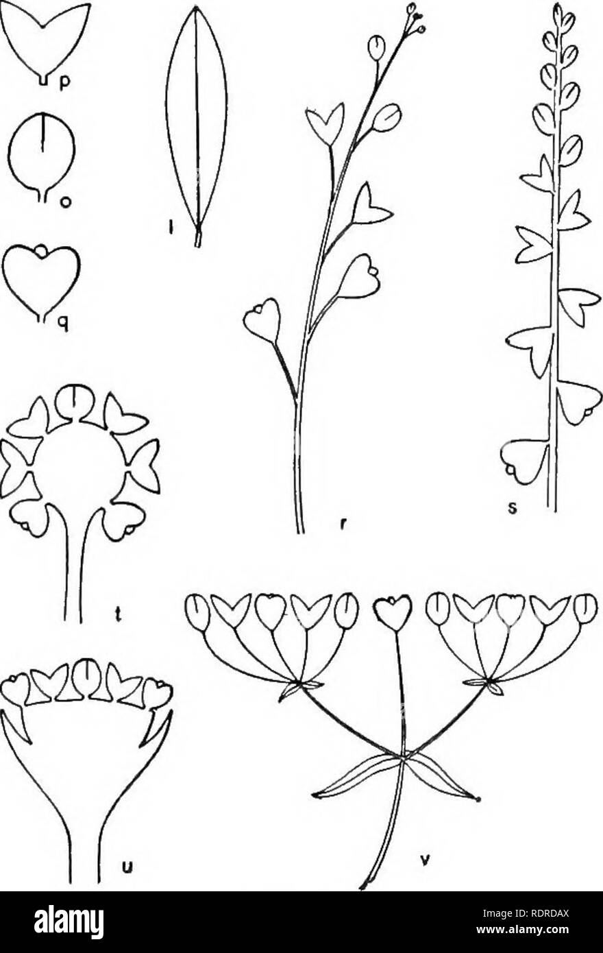 . Introduction to botany. Botany. 158 Introduction to Botany. any