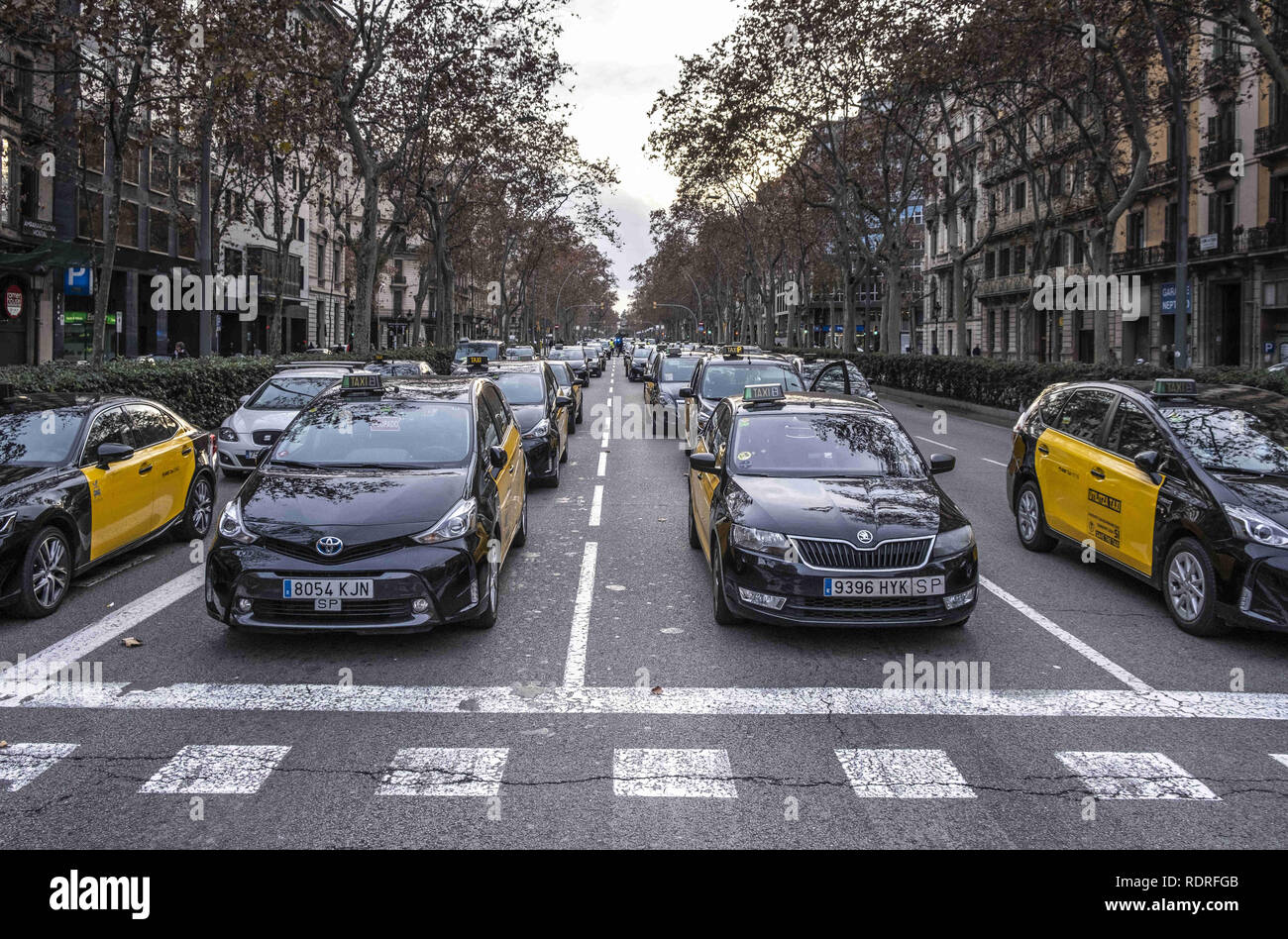 Barcelona, Catalonia, Spain. 18th Jan, 2019. A group of taxis seen parked in a row in the center of the city of Barcelona during the protest.After broken negotiations with the Government of Catalonia, the taxi drivers of Barcelona return to the indefinite strike by occupying the Gran VÃ-a of Barcelona. Taxi drivers have been touring the center of Barcelona in a demonstration where there have been attacks against Uber and Cabify drivers with a VTC license. Credit: Paco Freire/SOPA Images/ZUMA Wire/Alamy Live News Stock Photo