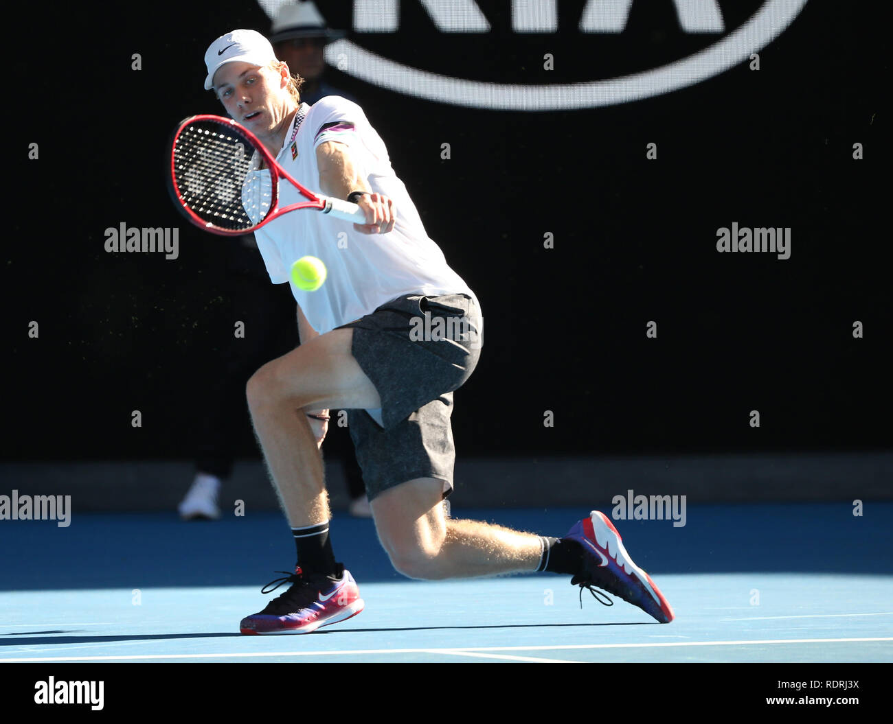 denis shapovalov shoes