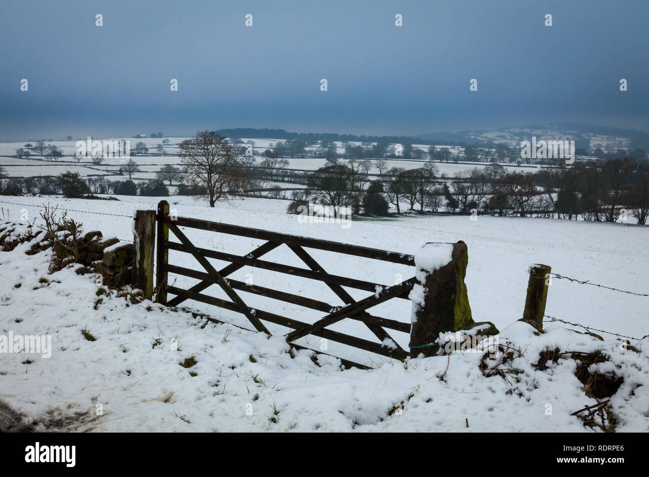 Upper Holloway, Derbyshire, U.K. 19th January 2019. Overnight snow creates a bleak winter landscape in the Derbyshire Dales near to the village on Upper Holloway. Credit: Mark Richardson/Alamy Live News Stock Photo