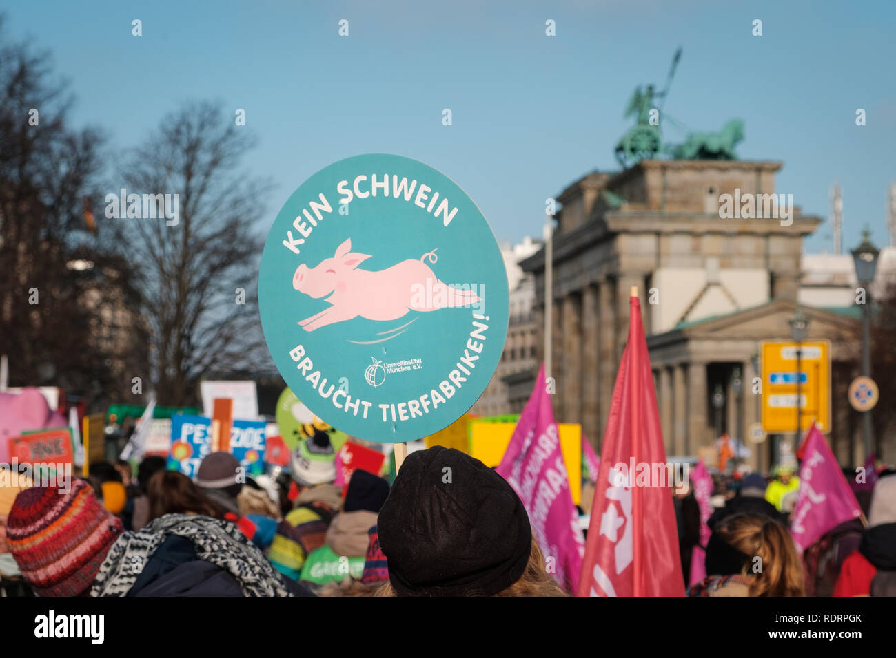 Berlin, Germany - January 19, 2019: Demonstration 'Wir haben es satt', against the german and EU agricultural policy and for sustainable agriculture in Berlin, Germany Credit: hanohiki/Alamy Live News Credit: hanohiki/Alamy Live News Stock Photo