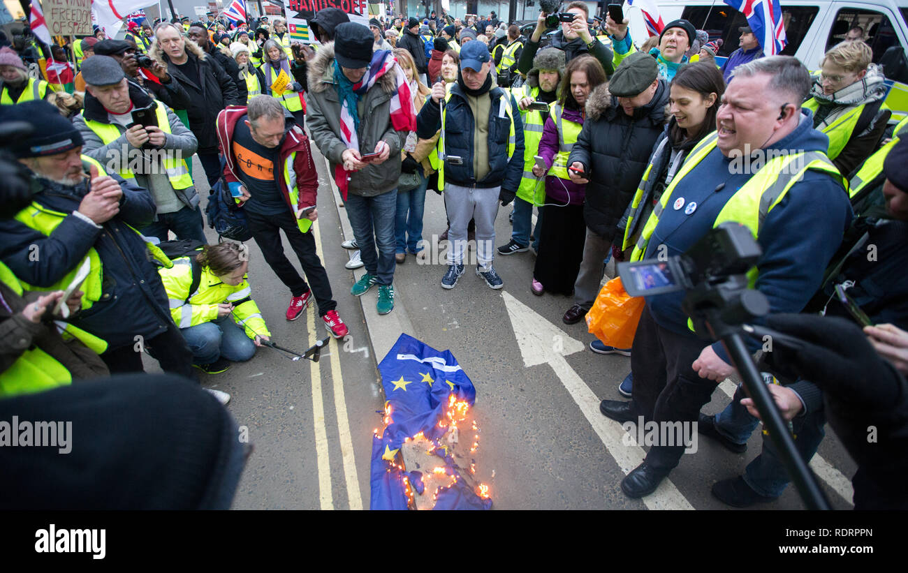 London, UK. 19th January 2019. Yellow Vest protsters march around Central London and burn an EU flag Credit: George Cracknell Wright/Alamy Live News Stock Photo