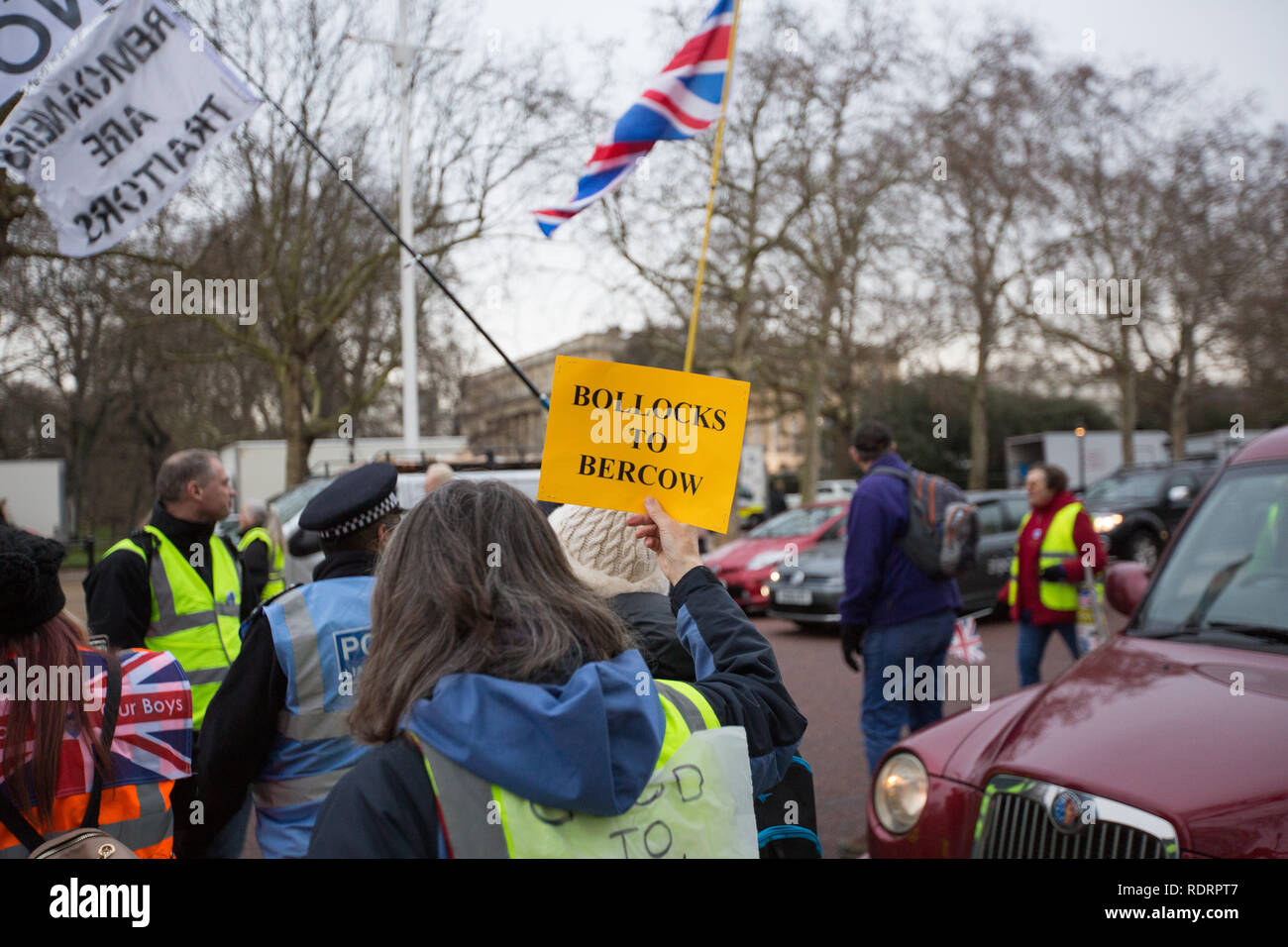 London, UK. 19th January 2019. Yellow Vest protsters march around Central London Credit: George Cracknell Wright/Alamy Live News Stock Photo