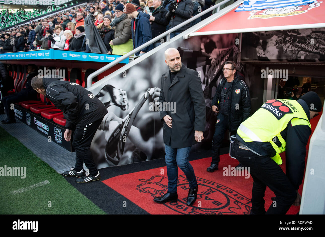 Leverkusen, Germany. 19th Jan, 2019. Soccer: Bundesliga, Bayer Leverkusen - Bor. Mönchengladbach, 18th matchday in the BayArena: Leverkusen coach Peter Bosz comes out of the play tunnel. Credit: Bernd Thissen/dpa - IMPORTANT NOTE: In accordance with the requirements of the DFL Deutsche Fußball Liga or the DFB Deutscher Fußball-Bund, it is prohibited to use or have used photographs taken in the stadium and/or the match in the form of sequence images and/or video-like photo sequences./dpa/Alamy Live News Stock Photo