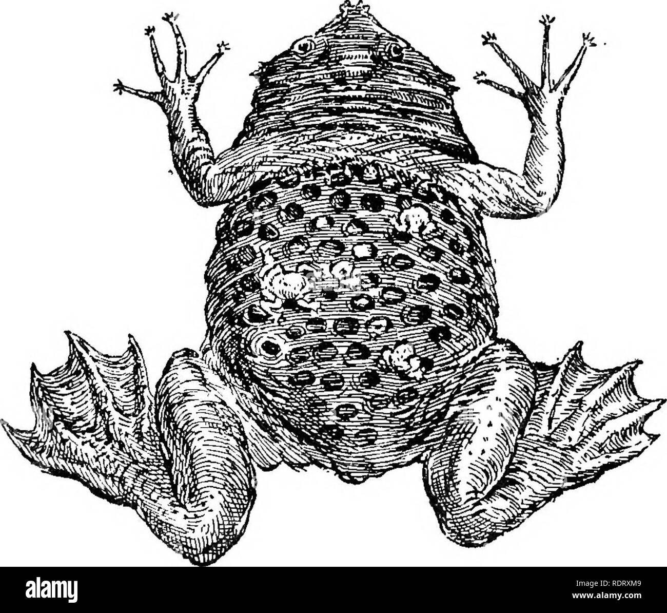 Growing up the walls Black and White Stock Photos & Images - Alamy