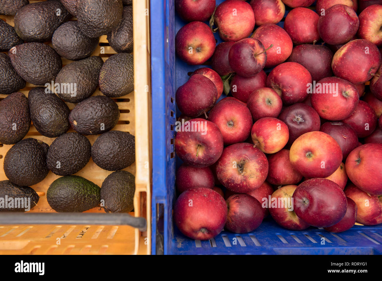 Bright plastic baskets filled with avocados and apples at the Old Packhouse Market in Kerikeri, New Zealand. Stock Photo