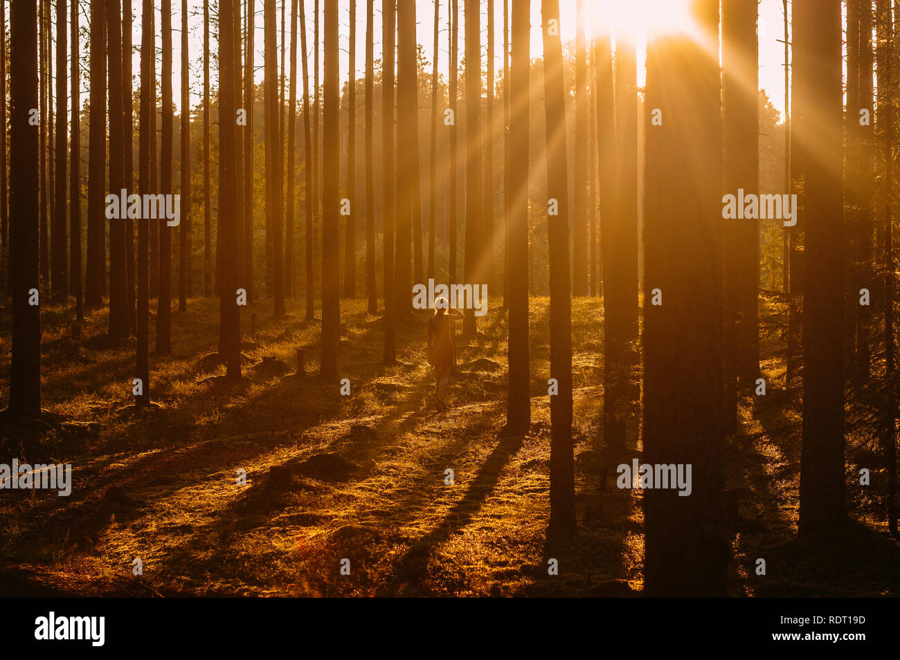 Young girl staying in evening forest Stock Photo