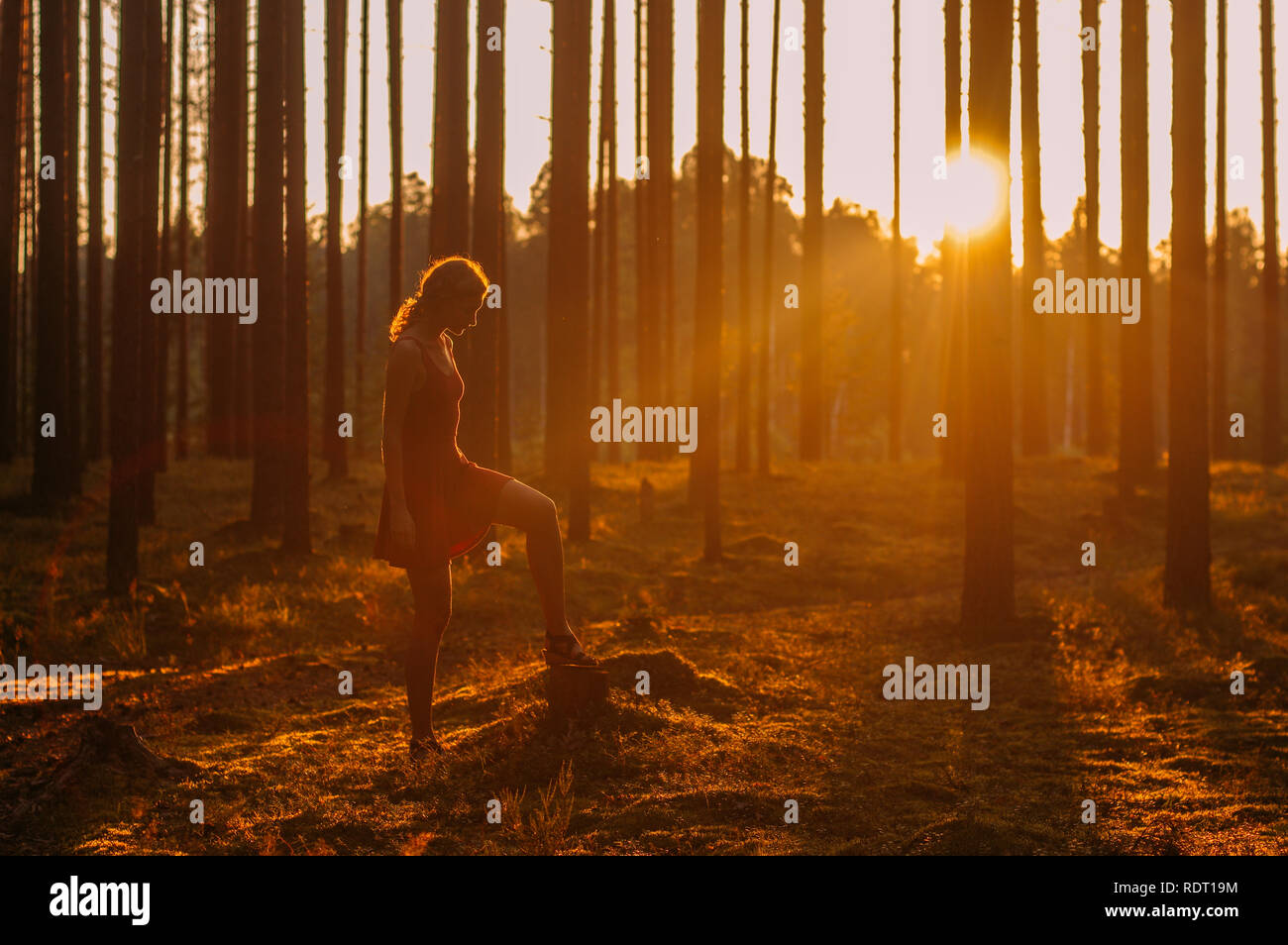 Young girl staying in evening forest Stock Photo