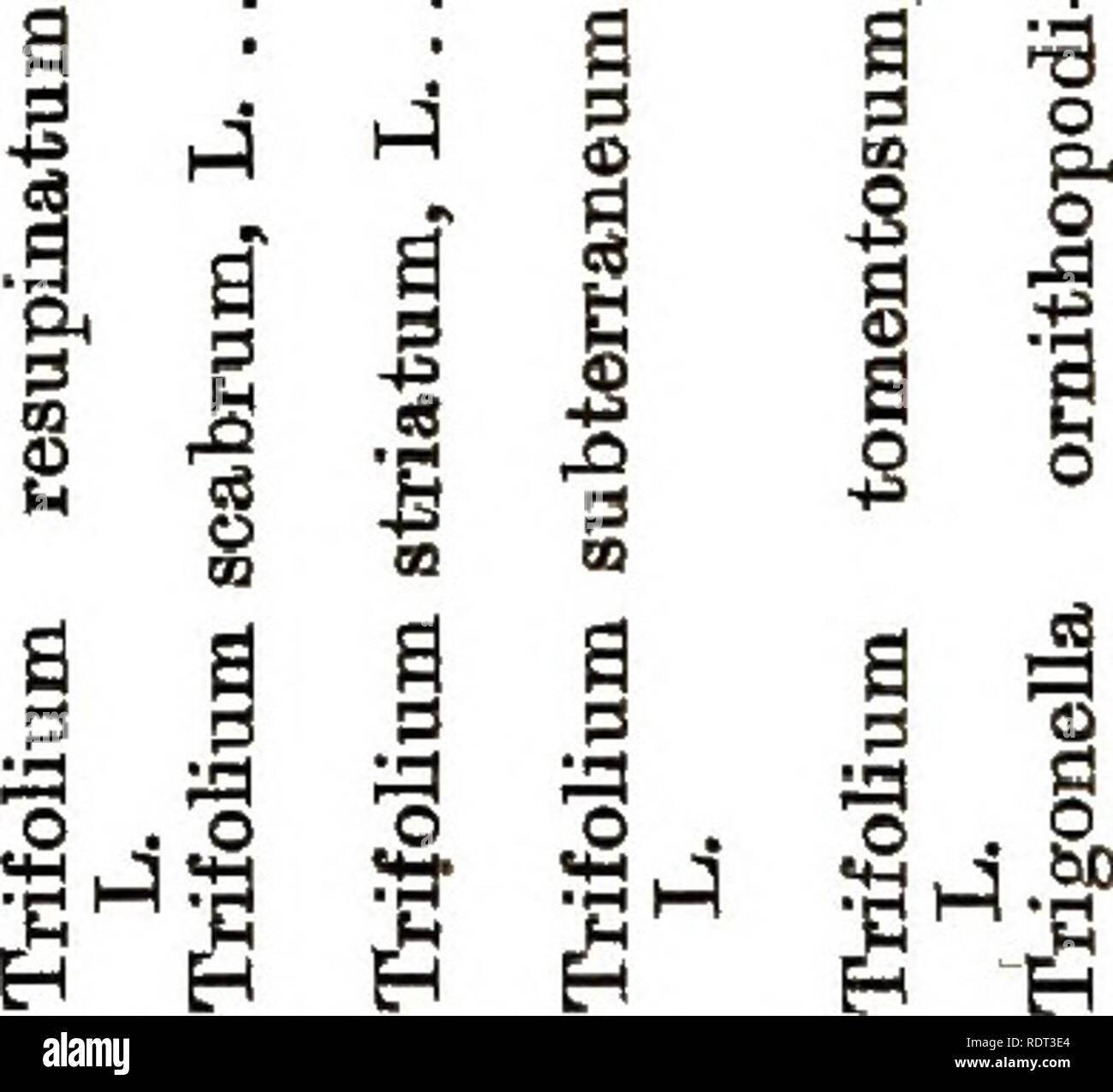Q F4 High Resolution Stock Photography And Images Alamy