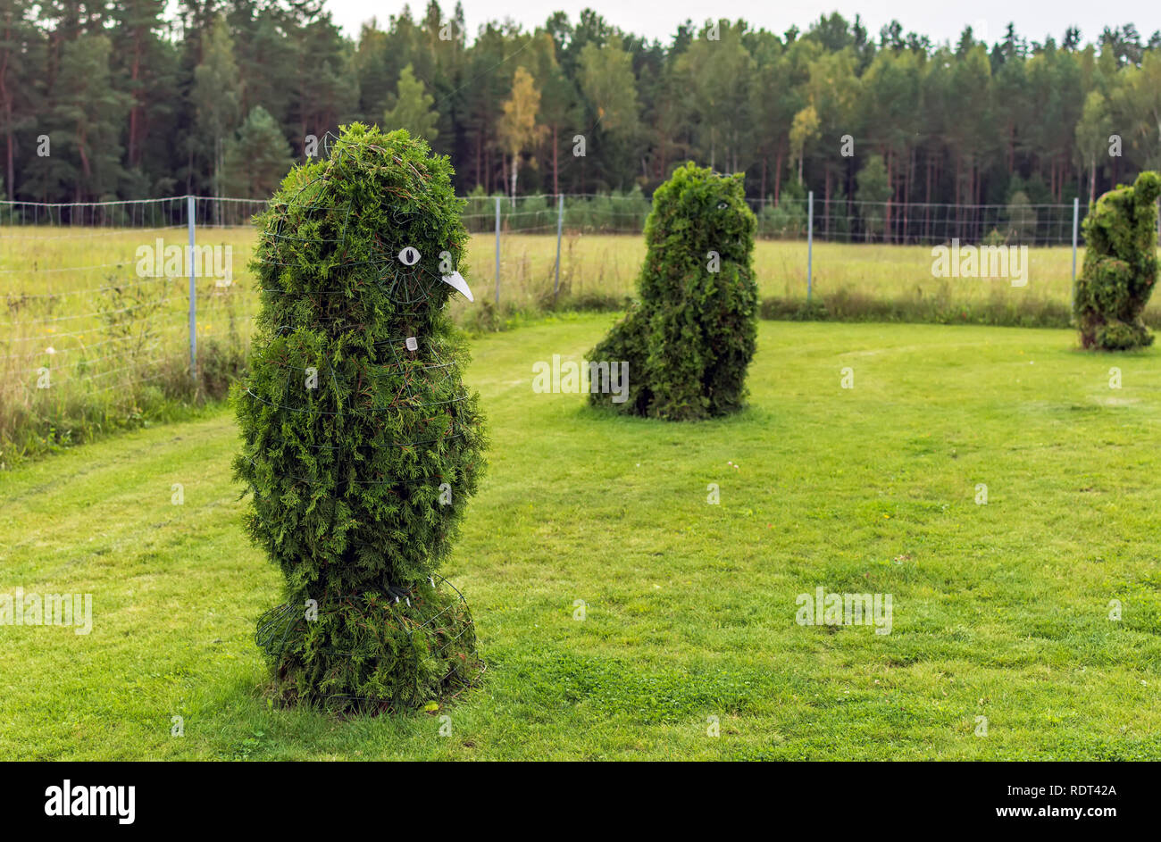 Anyksciai, Lithuania - September 8, 2018: Owl and Lion shaped bushes in a topiary garden. Green owl and lion figures made of arborvitae. Stock Photo