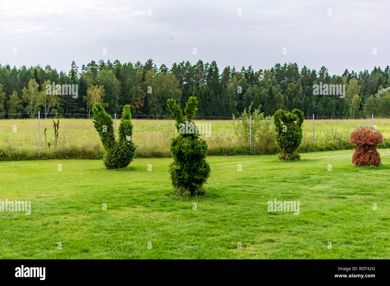 Anyksciai, Lithuania - September 8, 2018: Rabbit, swan, vase and mushroom shaped bushes in a topiary garden. Green figures made of arborvitae. Stock Photo