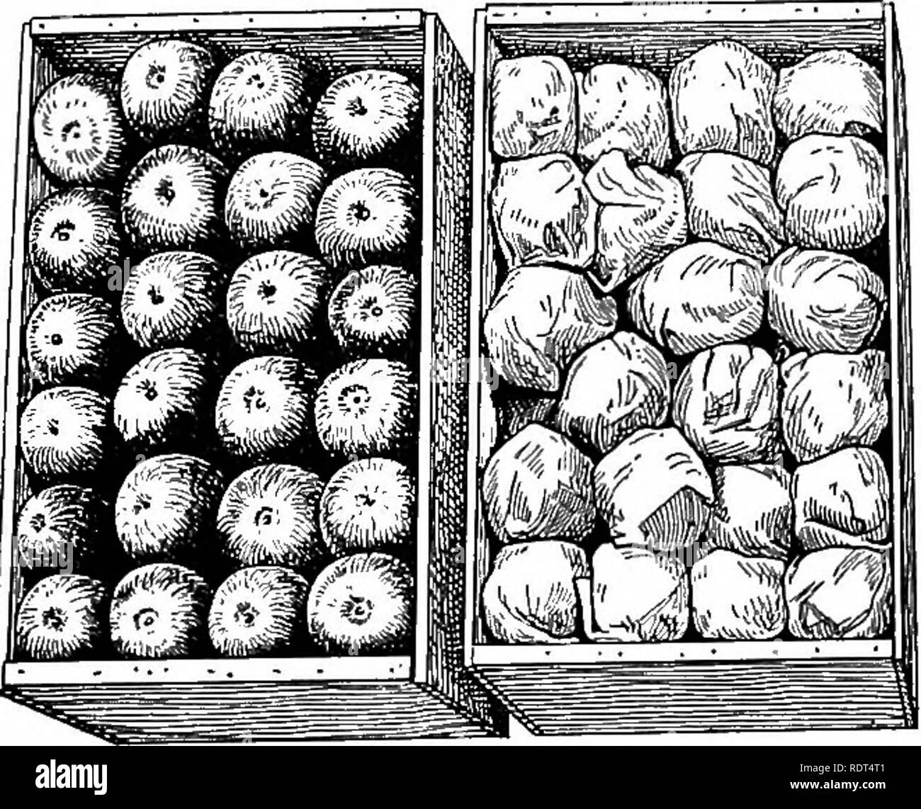Un packing Black and White Stock Photos & Images - Alamy