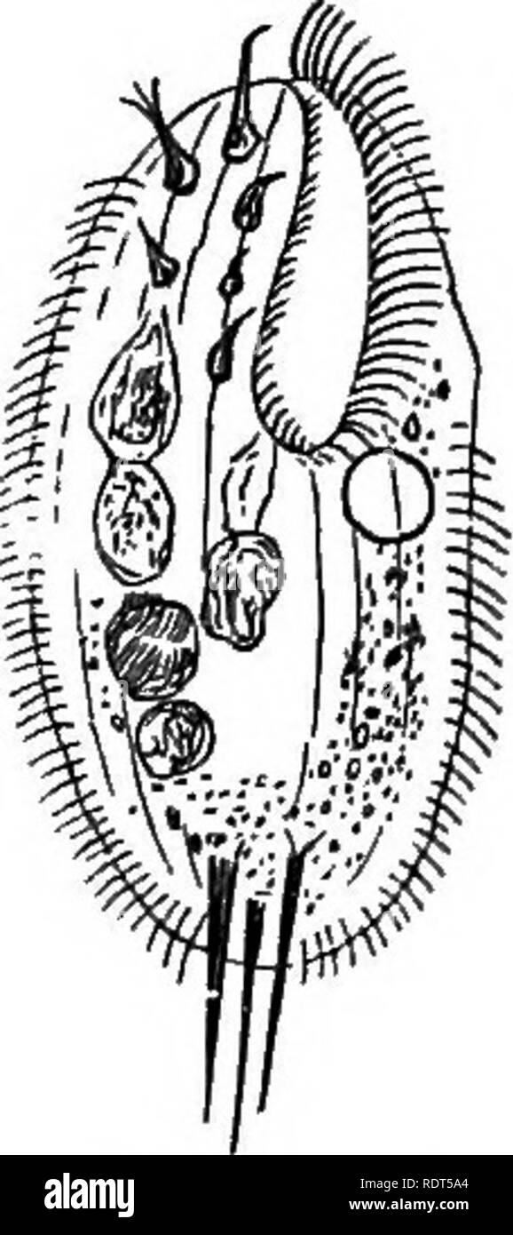 Tenue active Black and White Stock Photos & Images Alamy