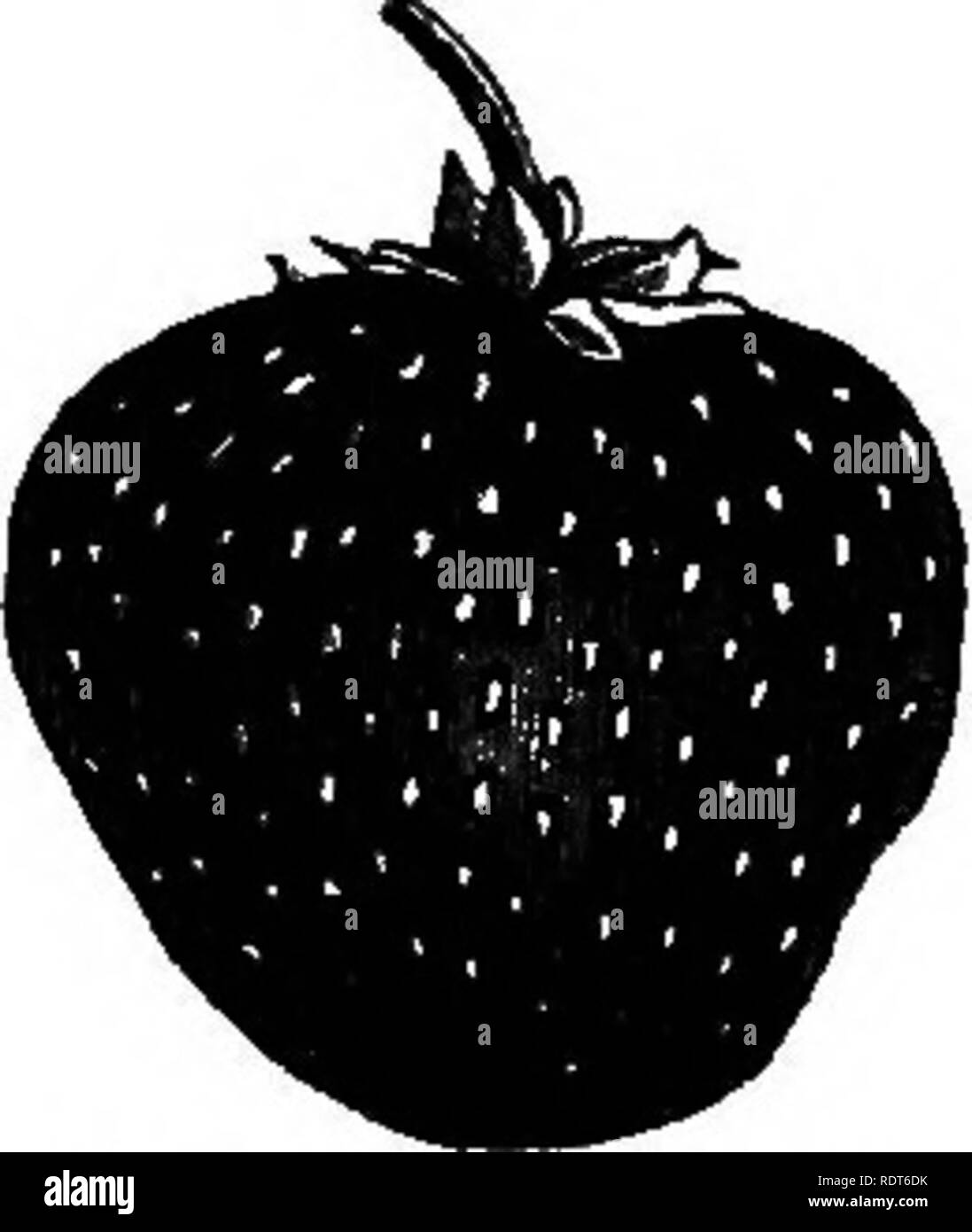 small amateur blak Xxx Photos