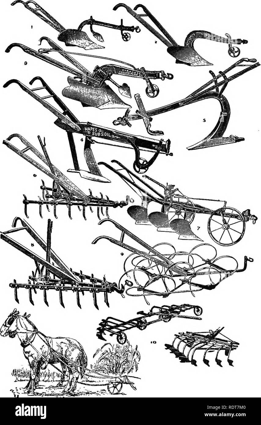 Fig plantations Black and White Stock Photos & Images Alamy