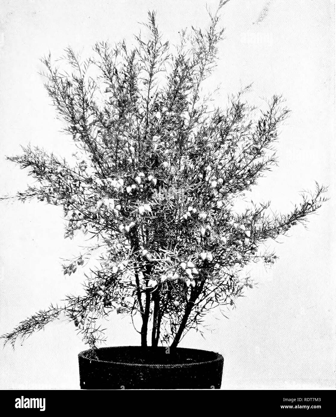 Planting July Black And White Stock Photos Images Alamy - 