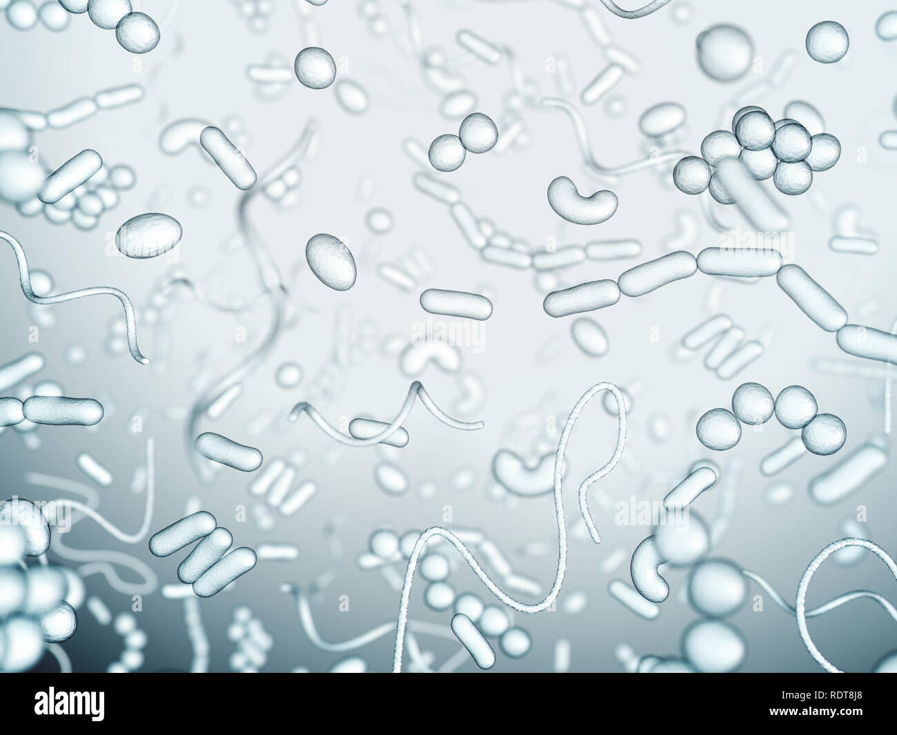 Different types of bacteria Stock Photo
