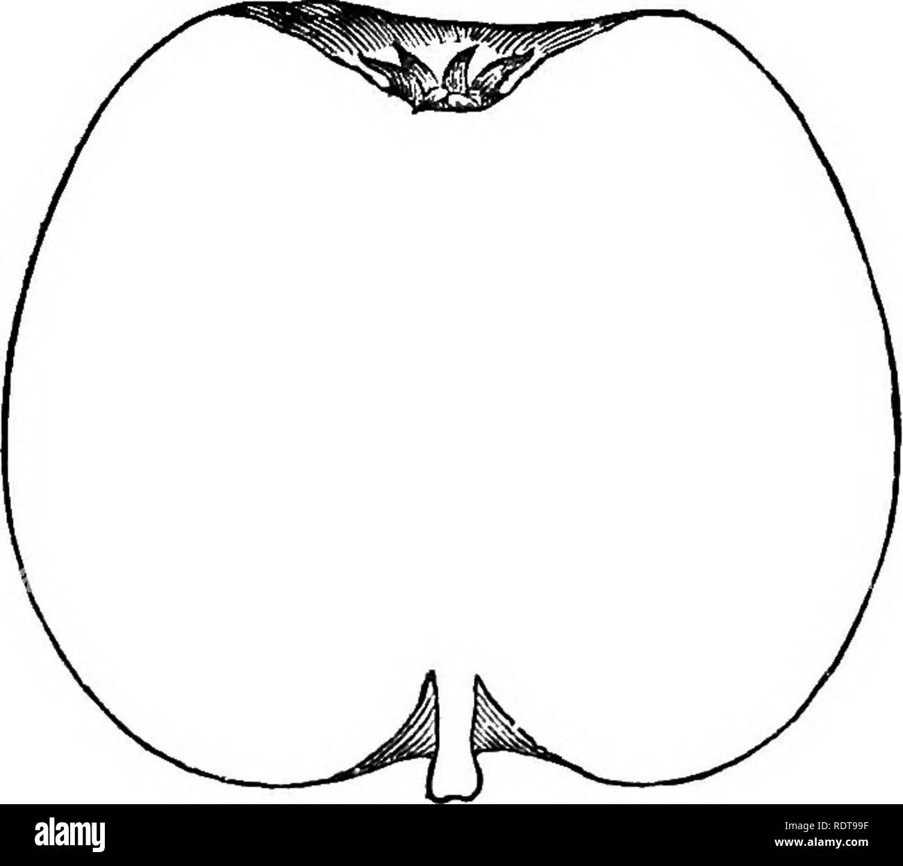 Red veins in eye Black and White Stock Photos & Images Alamy